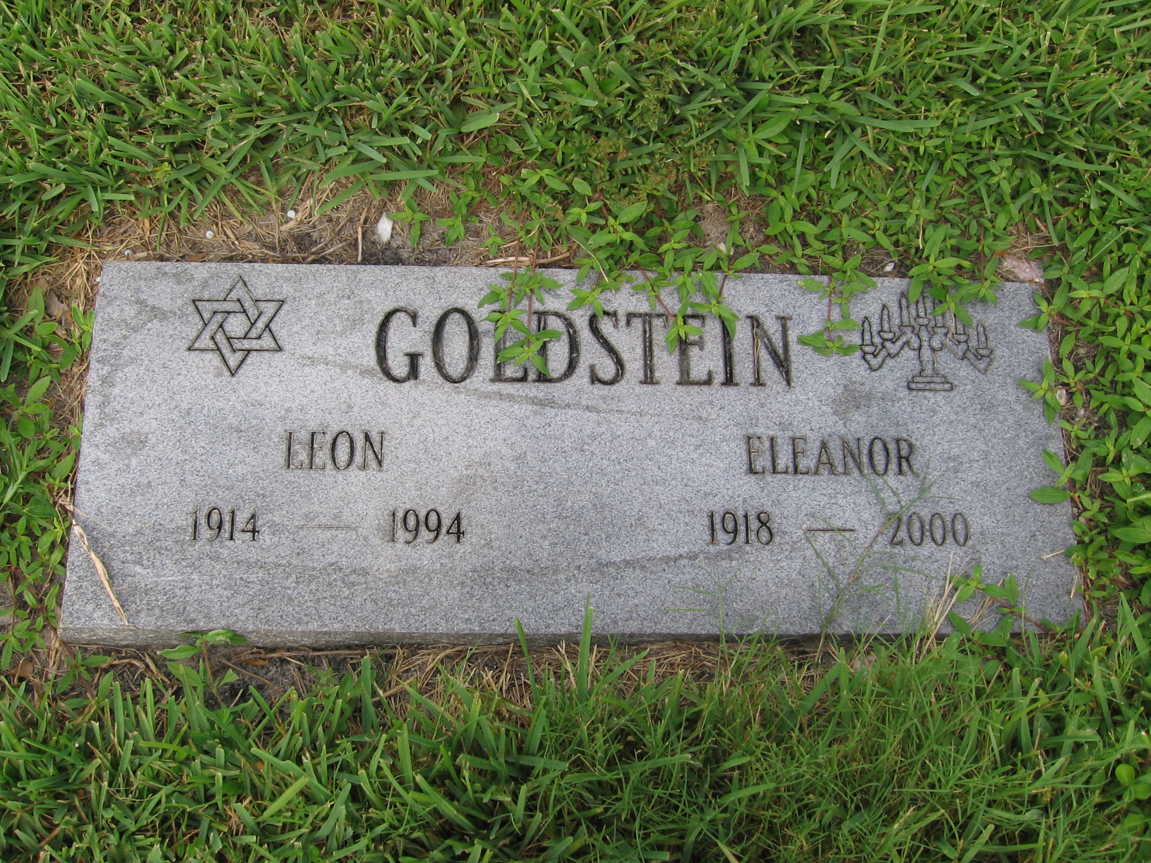 Leon Goldstein