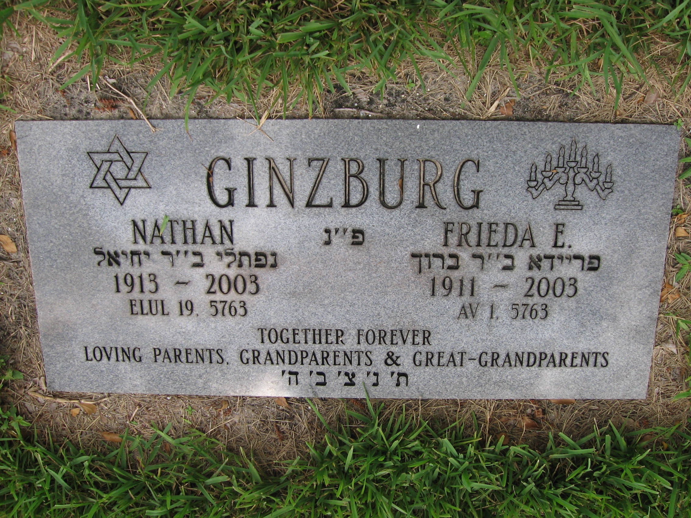 Nathan Ginzburg