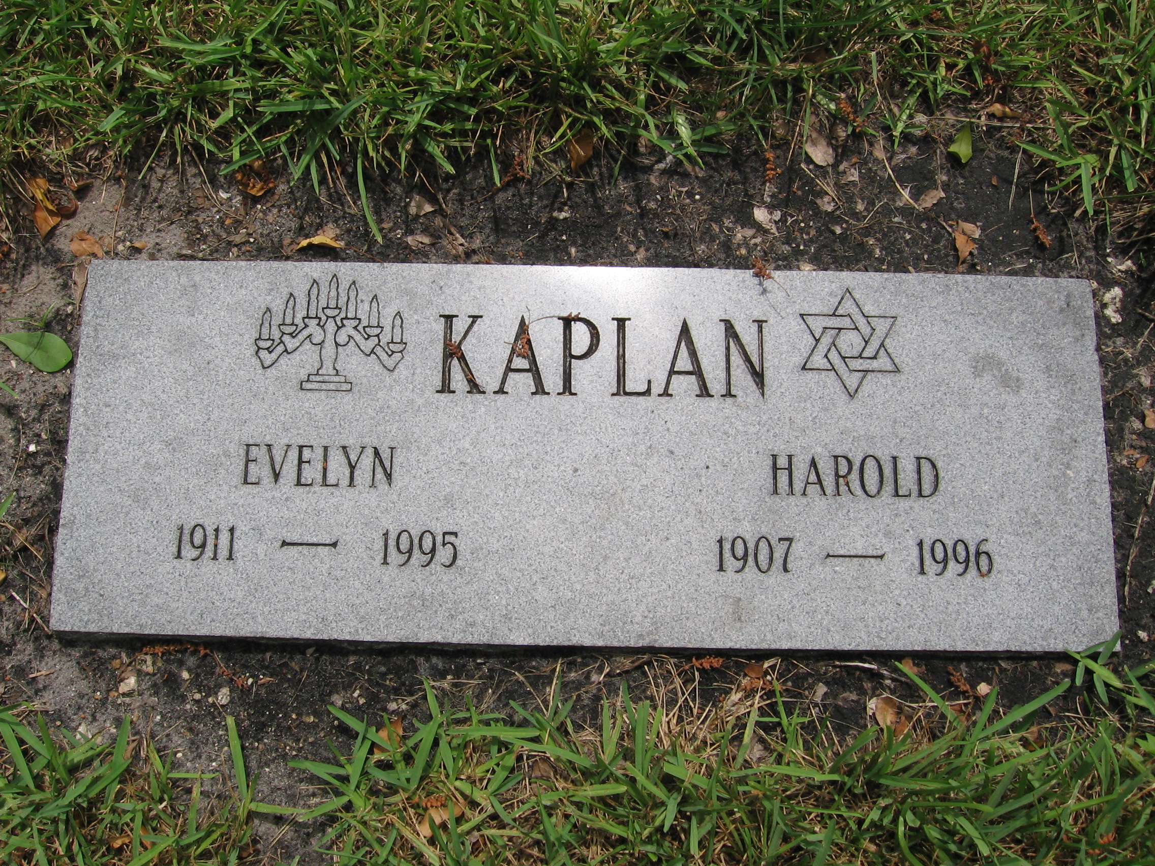 Evelyn Kaplan