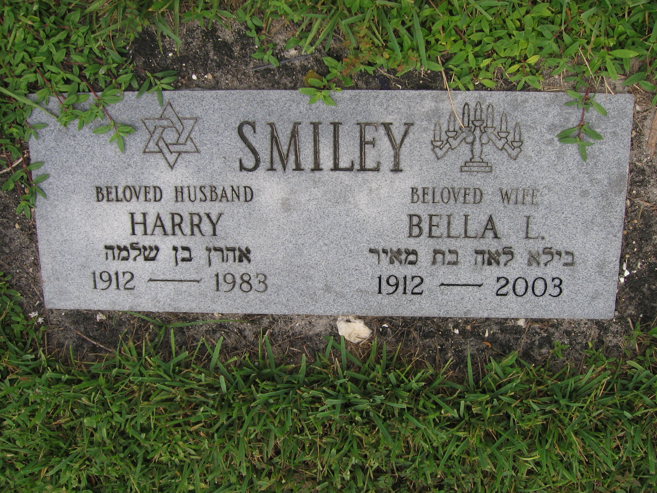 Harry Smiley