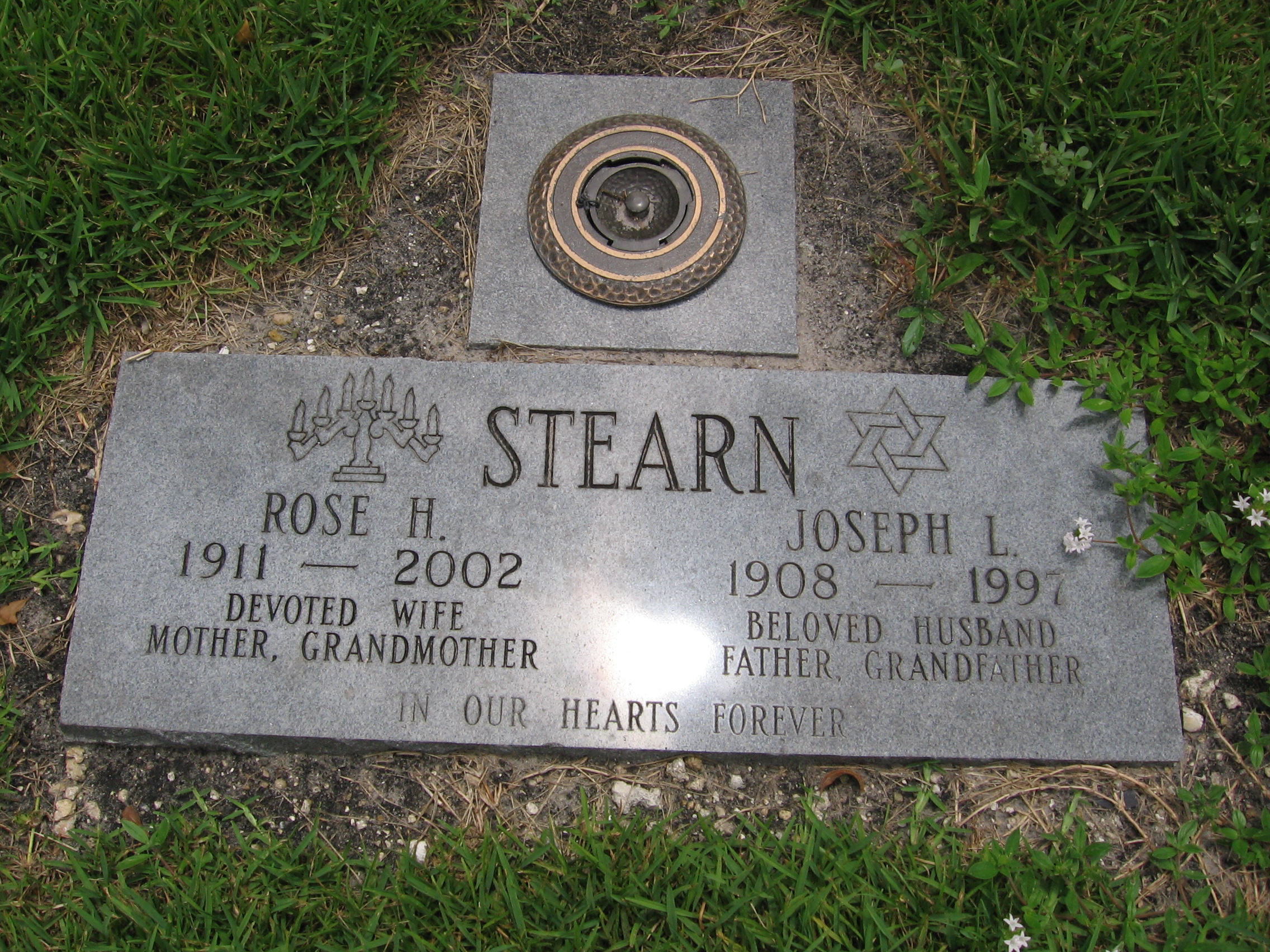 Rose H Stearn