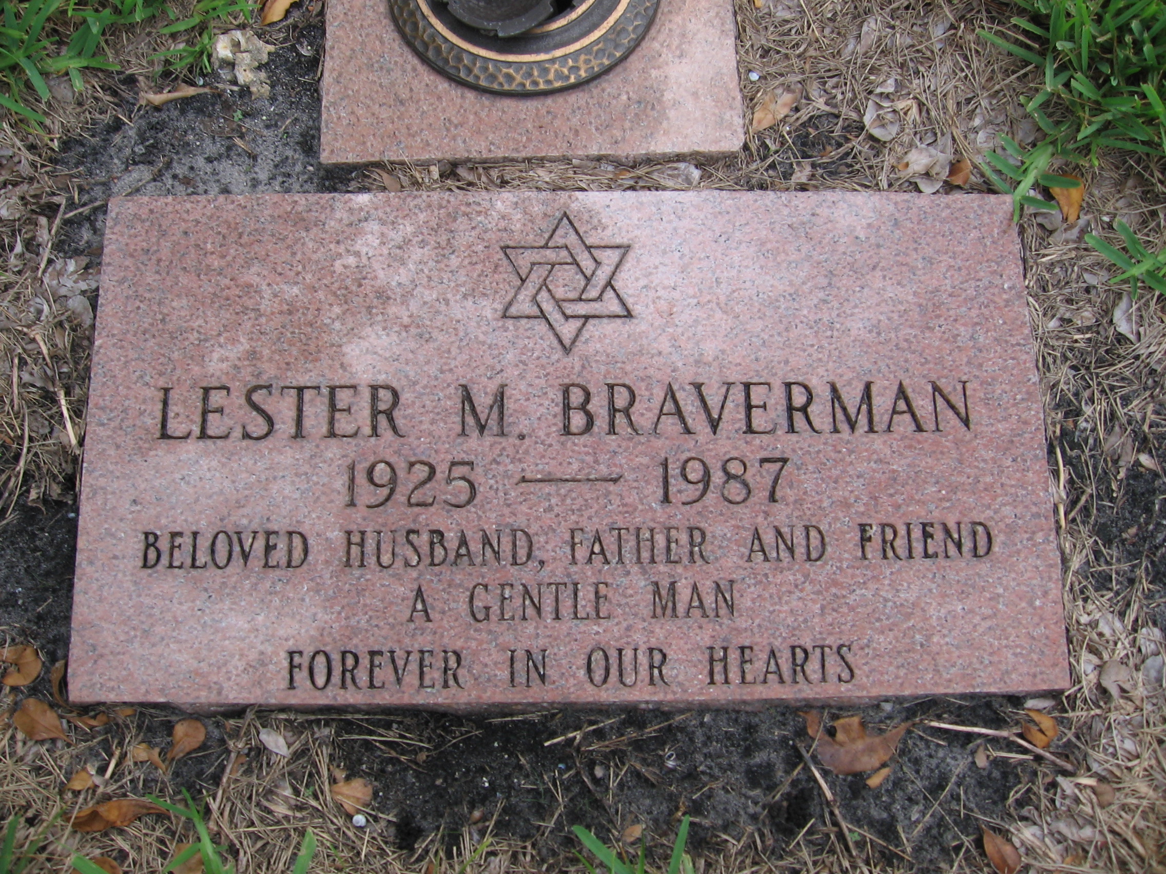 Lester M Braverman