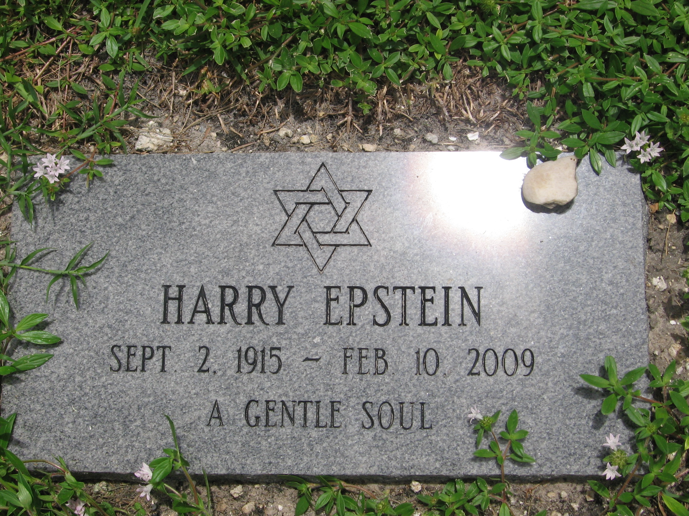 Harry Epstein