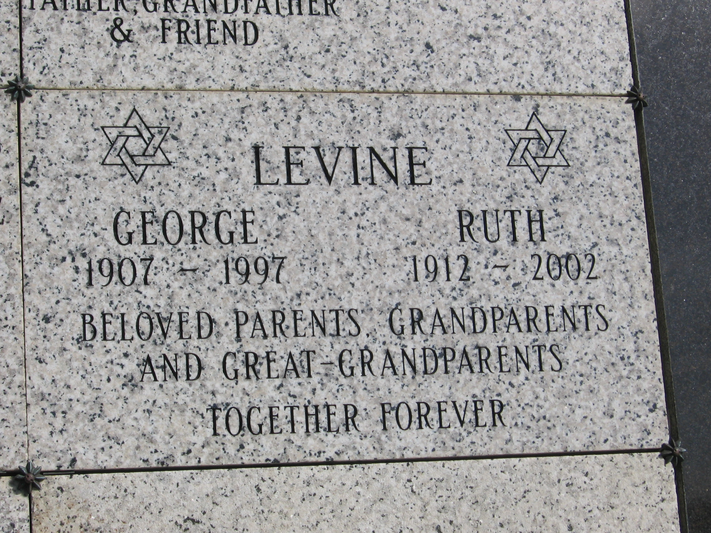 George Levine