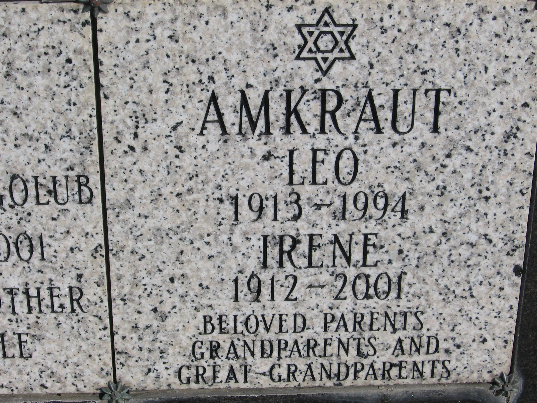 Leo Amkraut