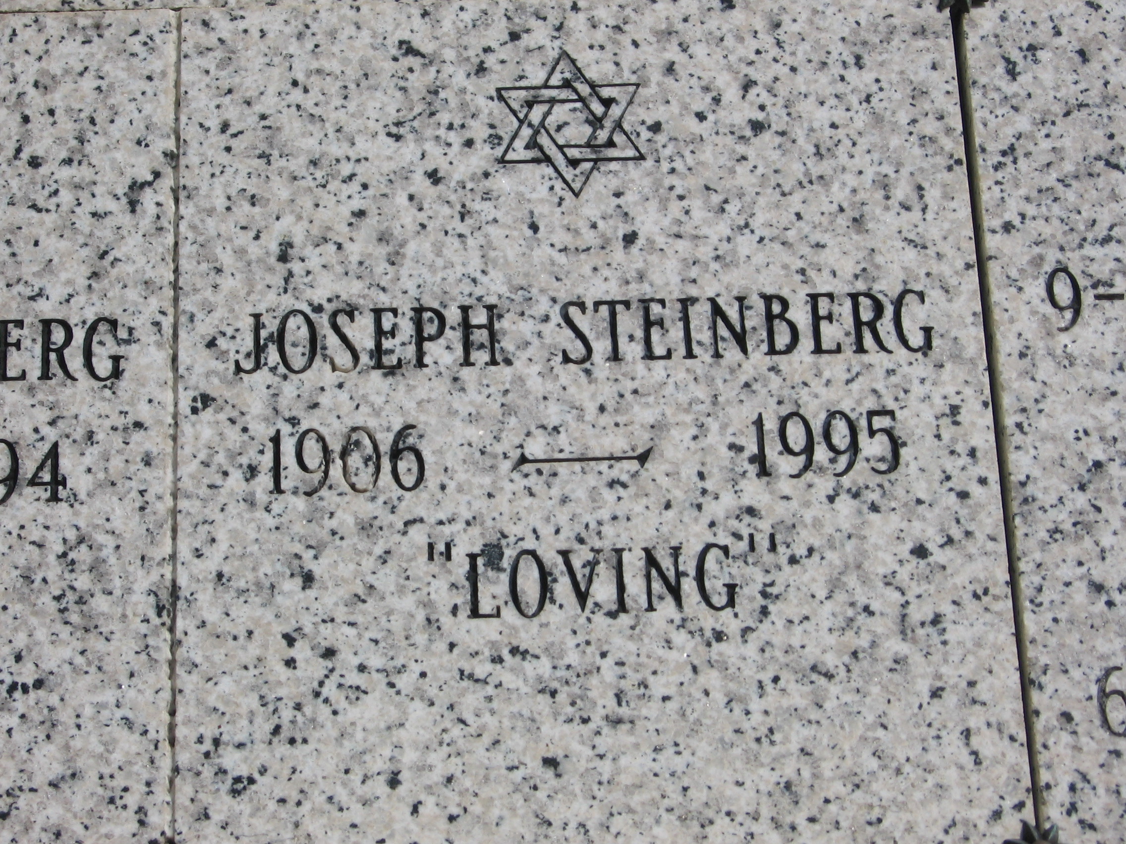 Joseph Steinberg