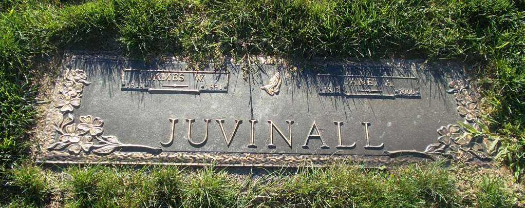 James W Juvinall