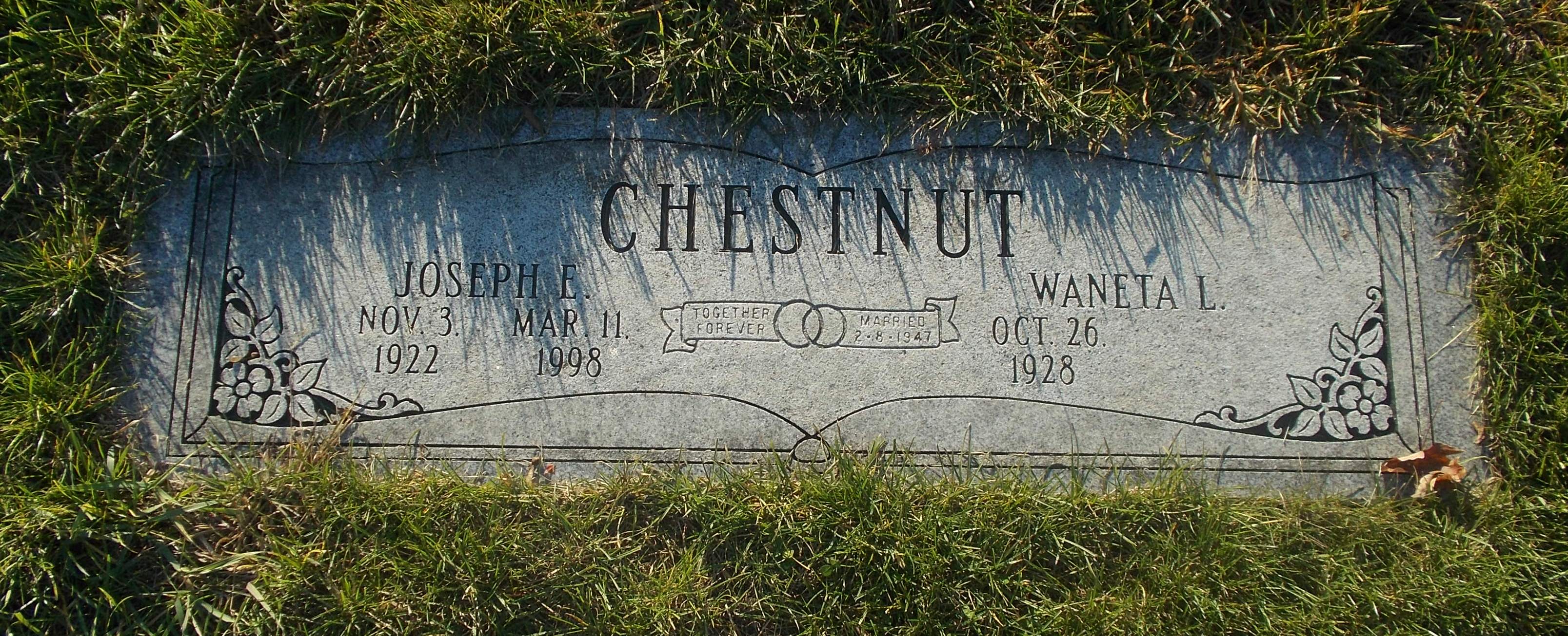 Joseph E Chestnut