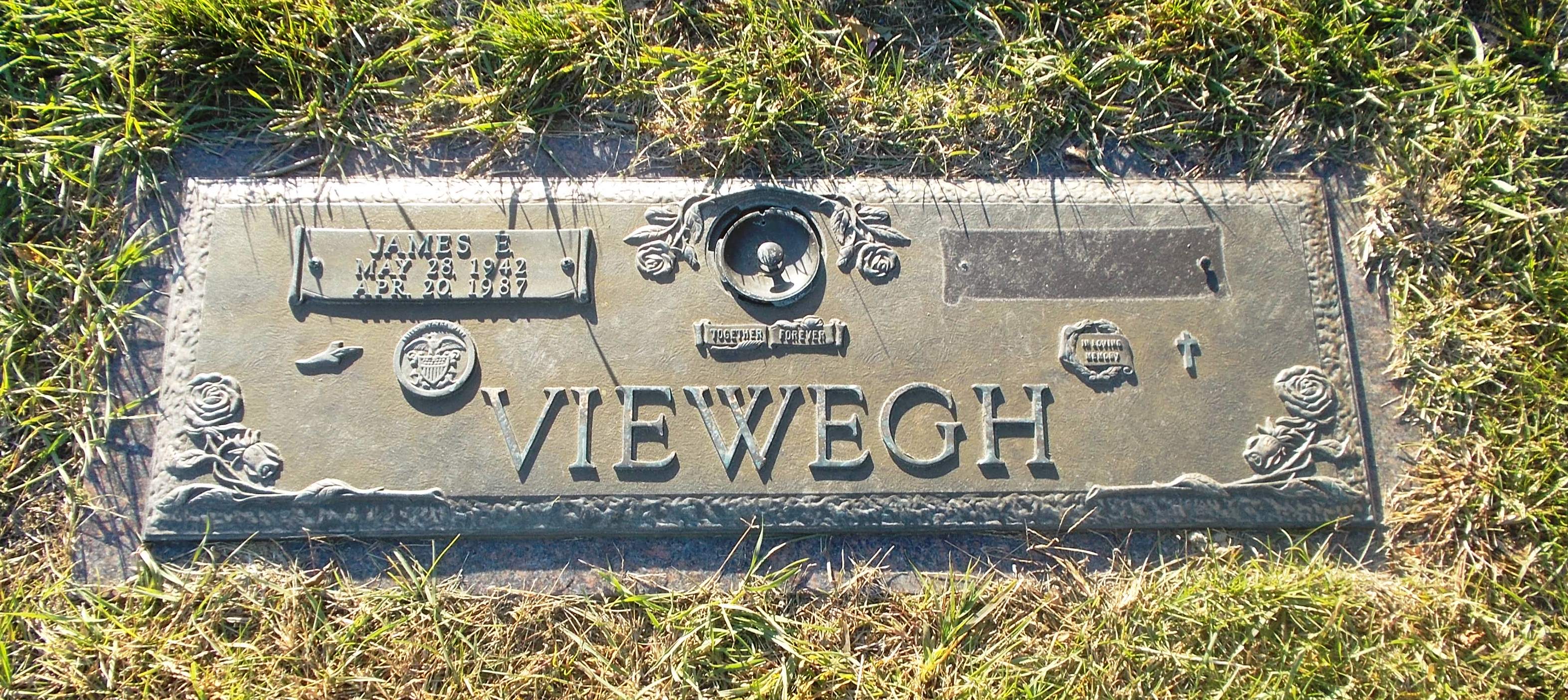 James E Viewegh
