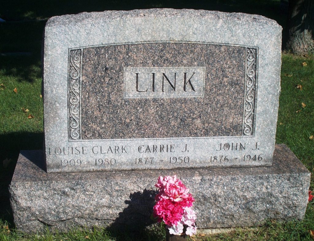 Carrie J Link