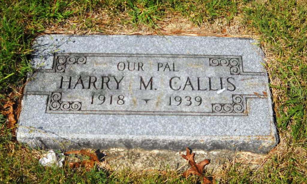 Harry M Callis