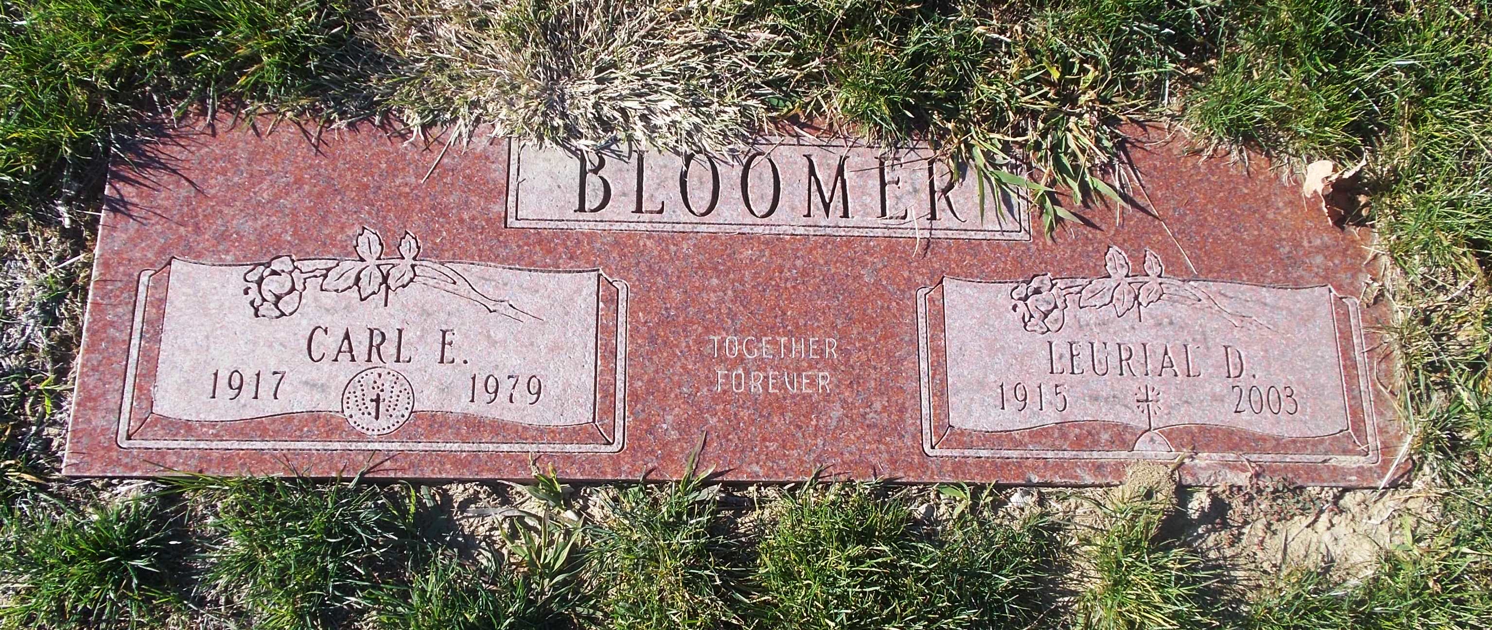 Carl E Bloomer