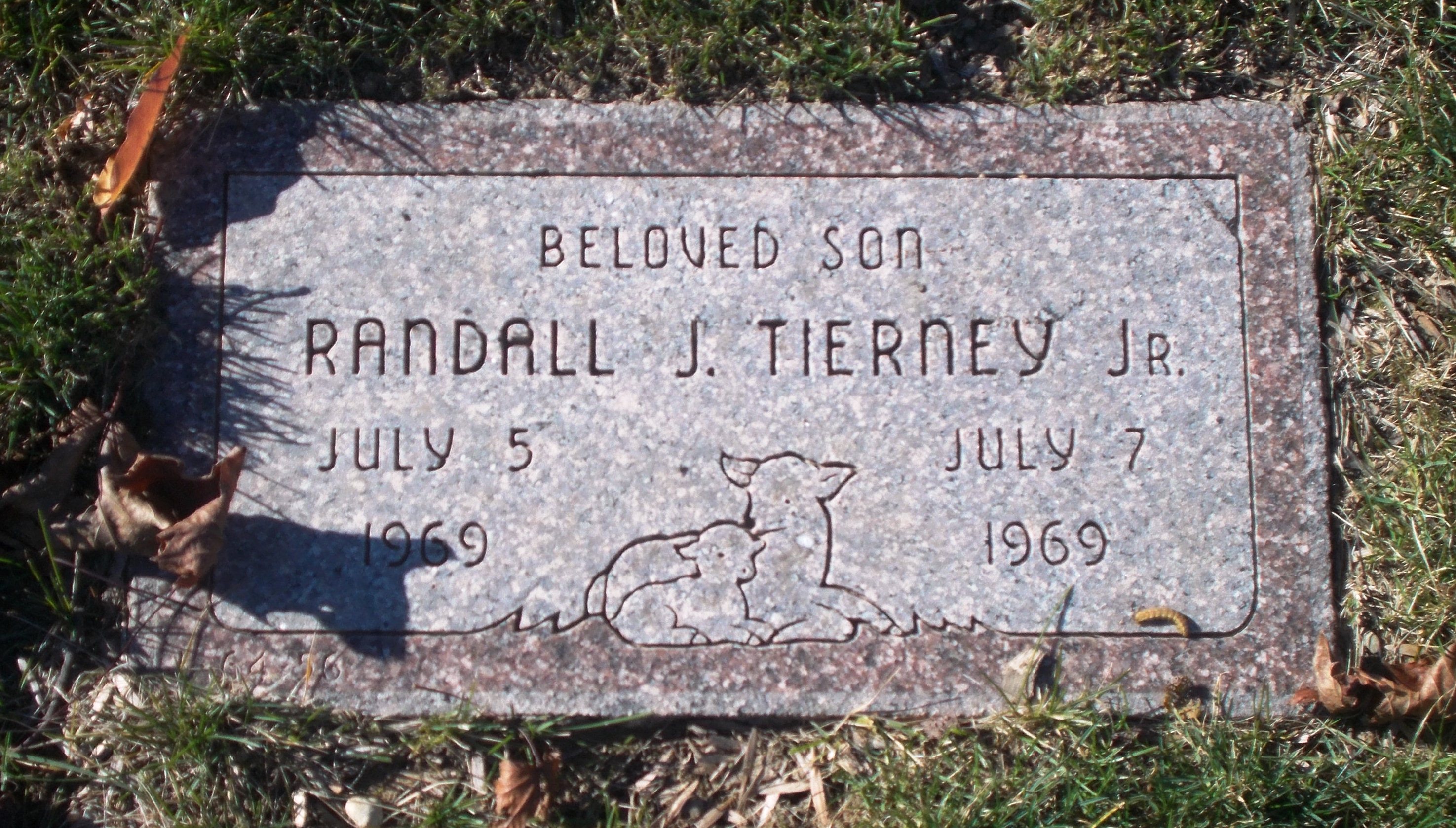 Randall J Tierney, Jr