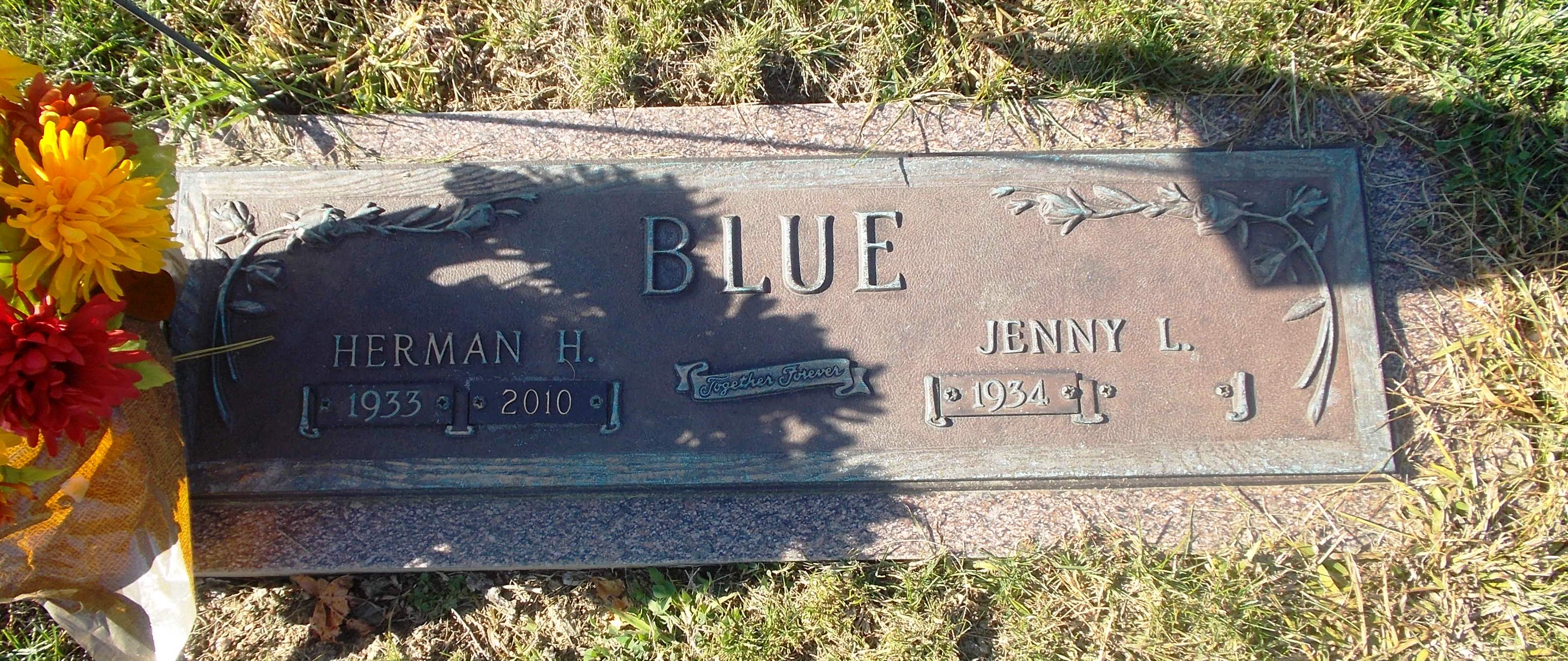 Jenny L Blue