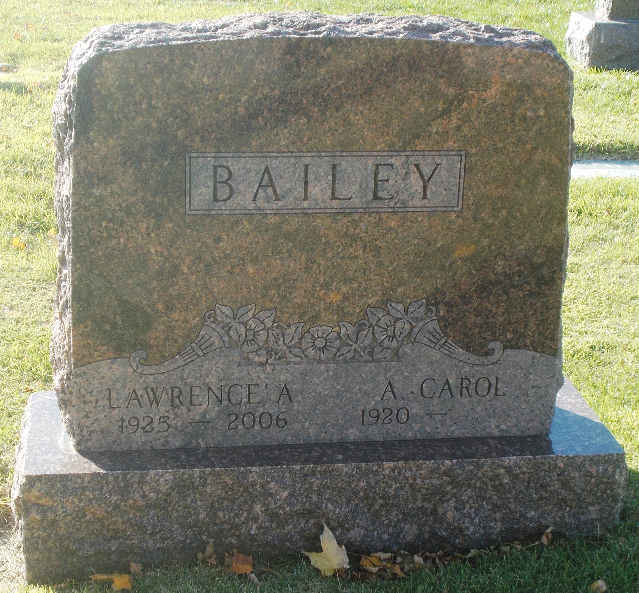 Lawrence A Bailey