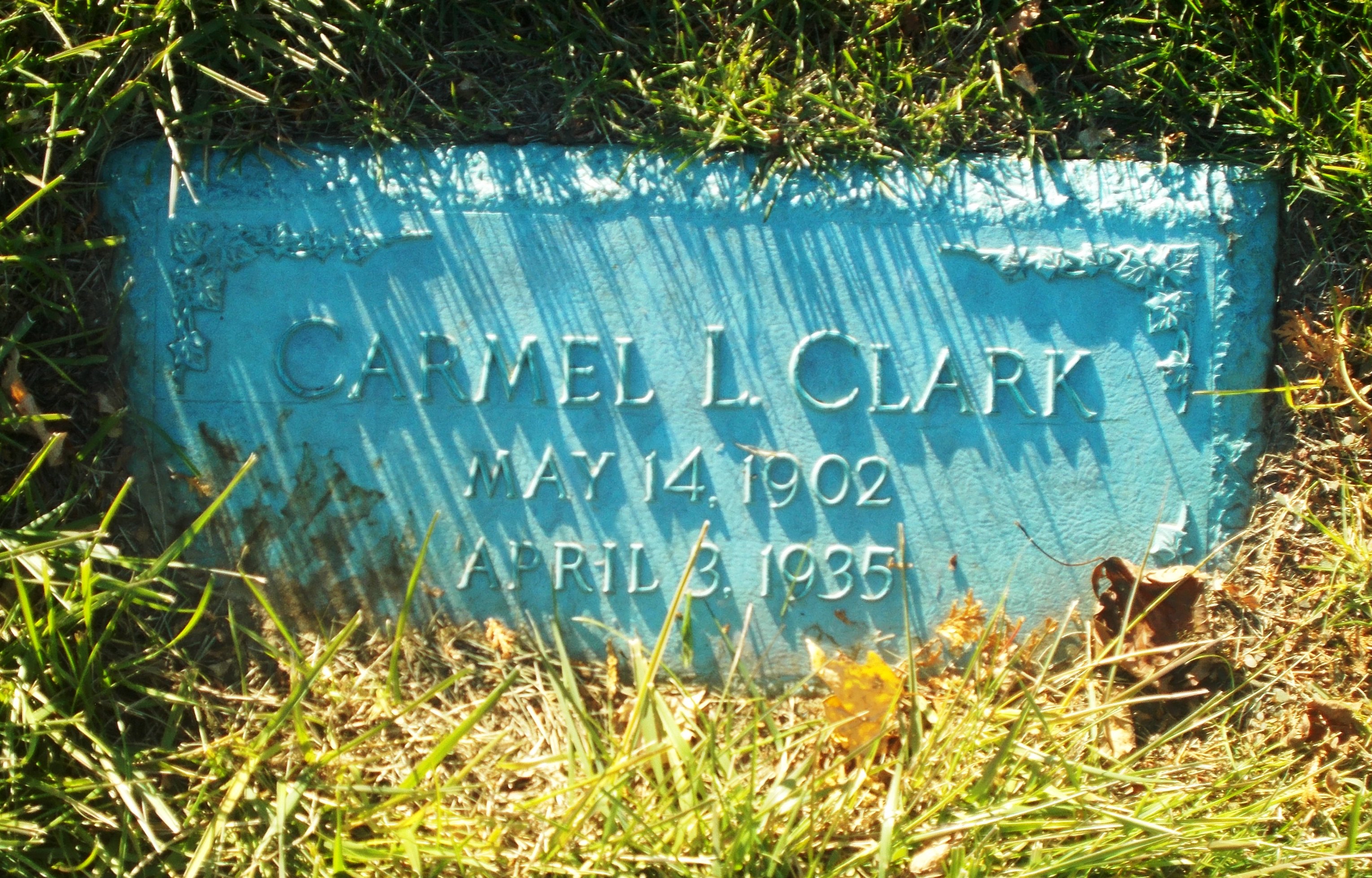 Carmel L Clark