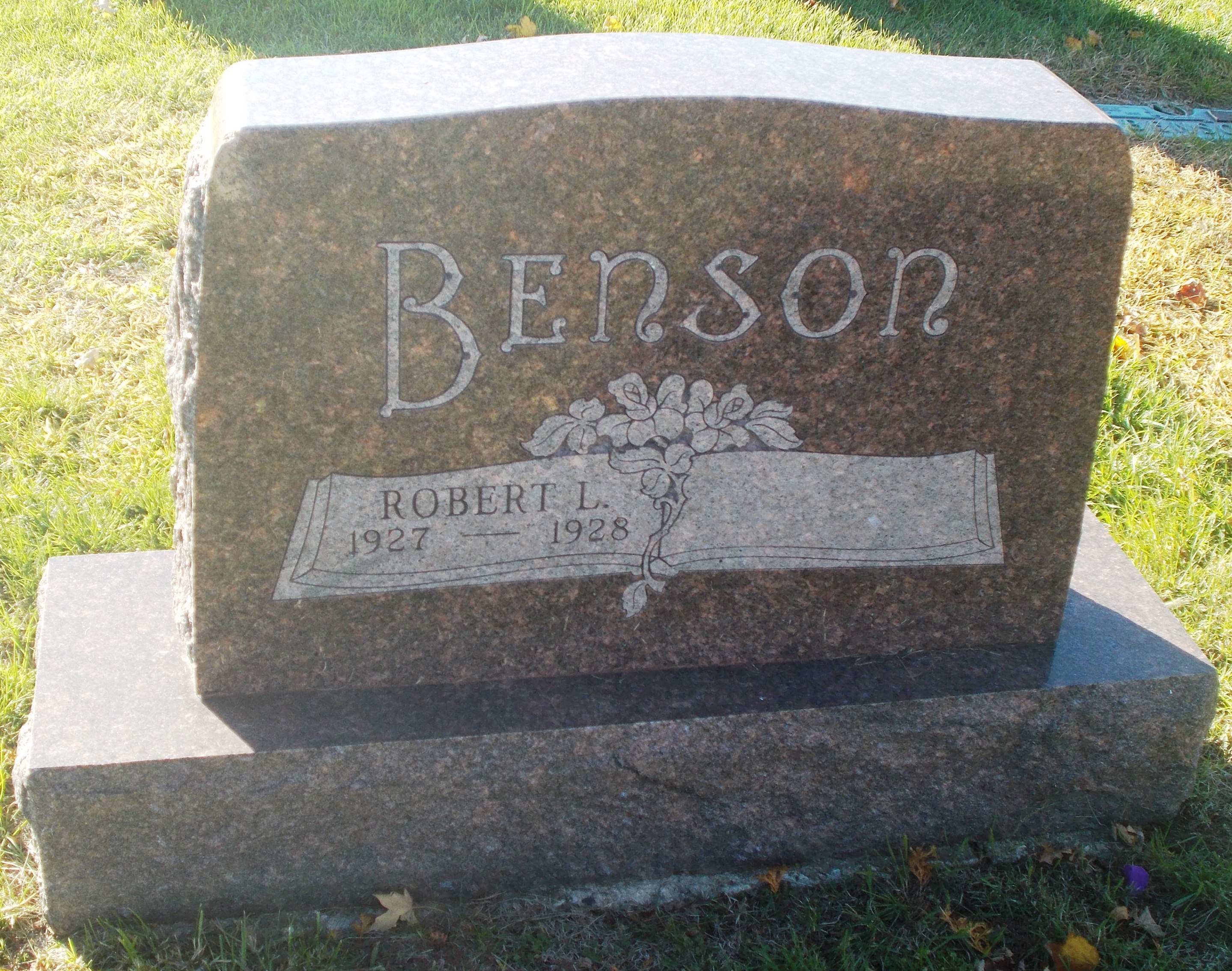 Robert L Benson