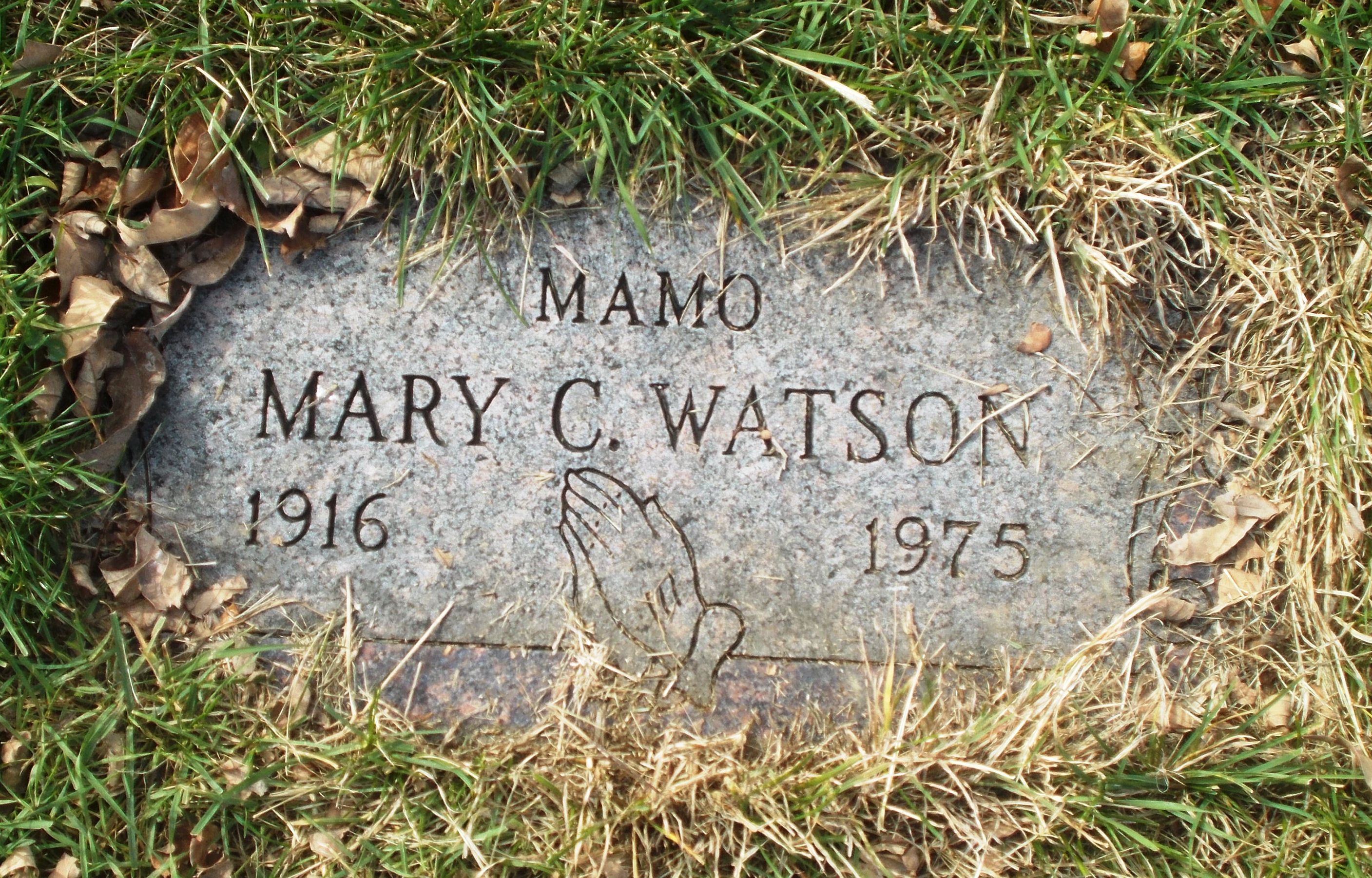 Mary C Watson