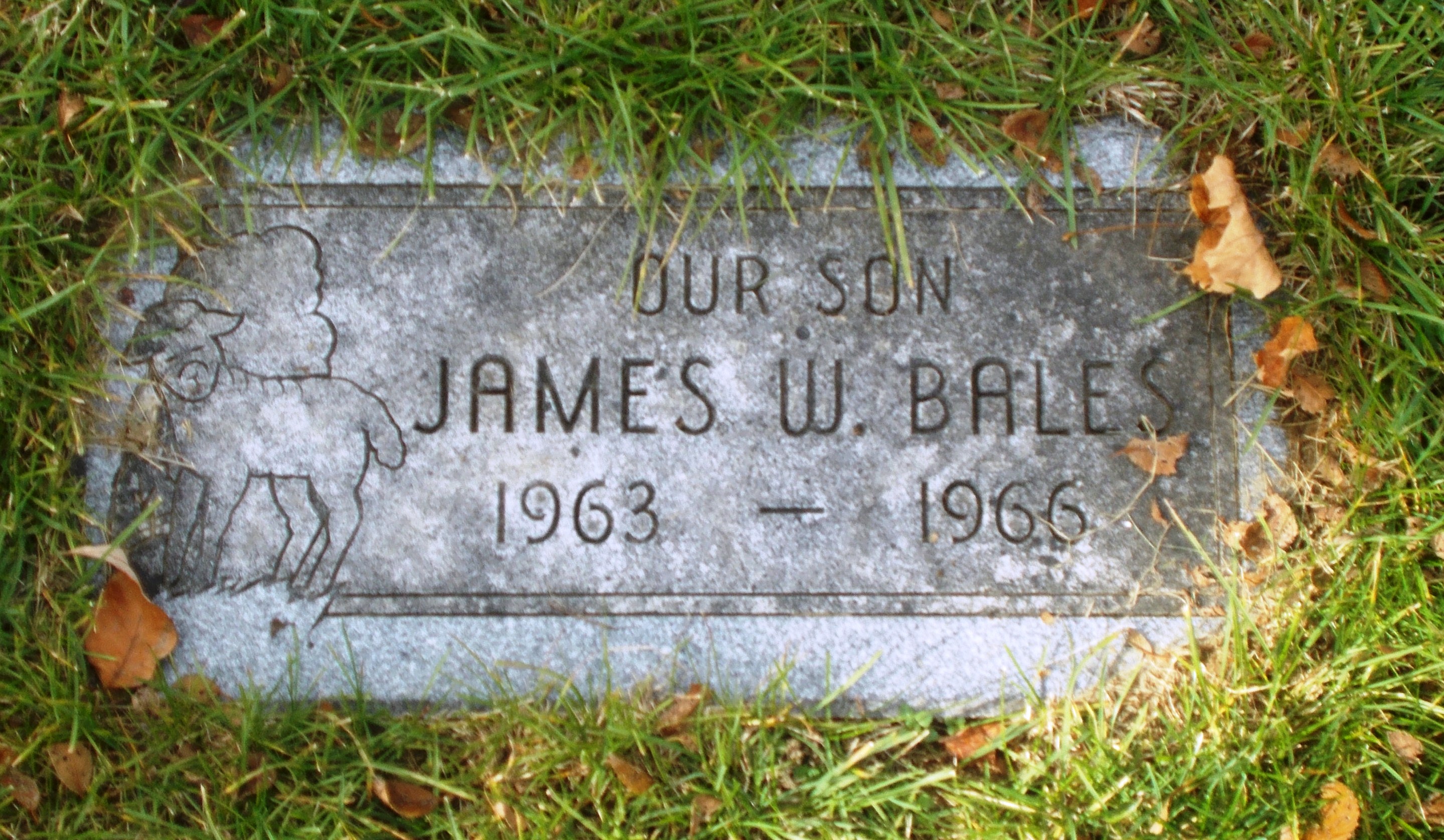 James W Bales