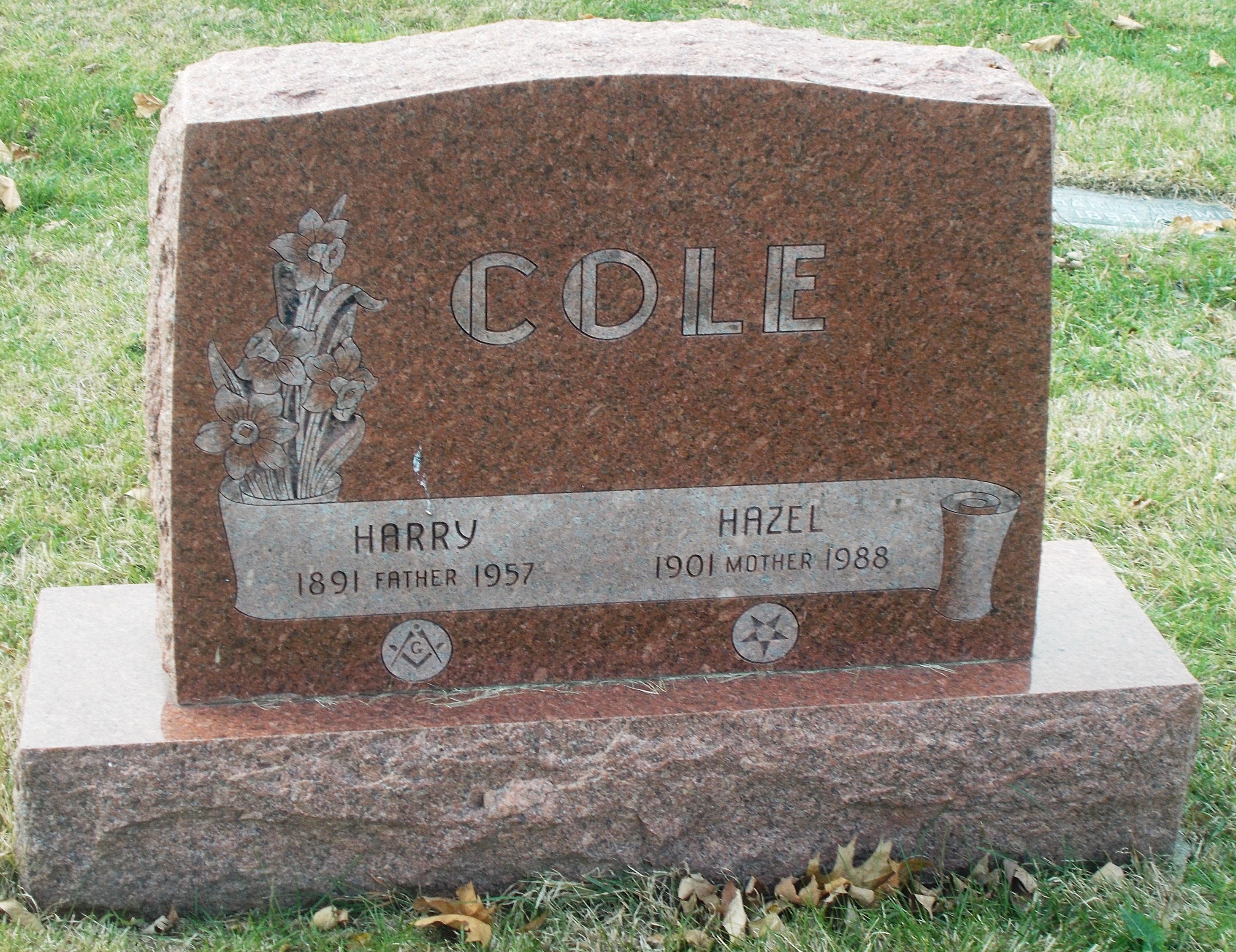 Hazel Cole