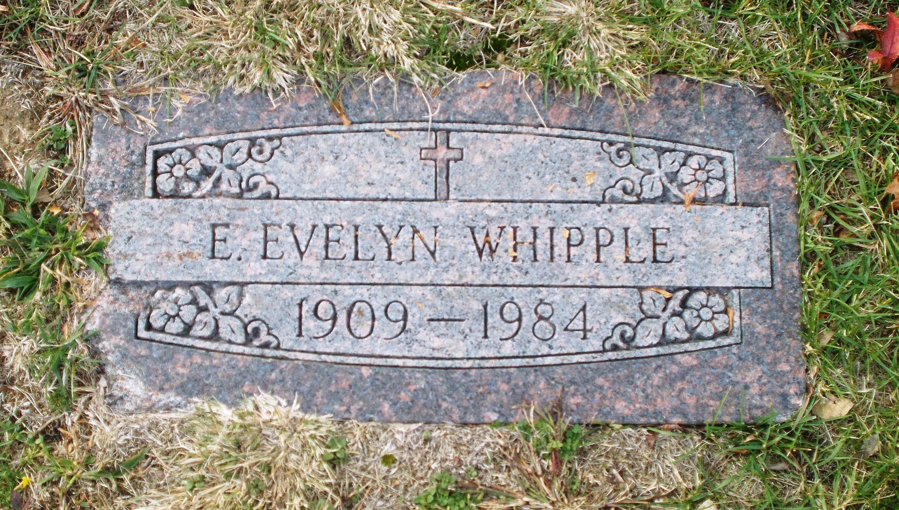 E Evelyn Whipple