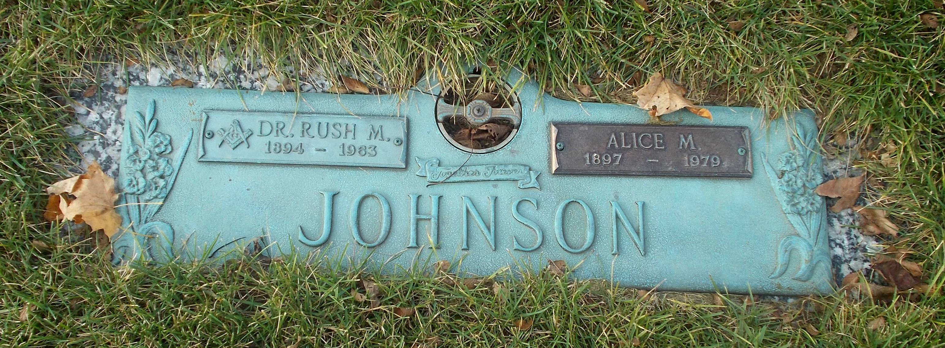 Alice M Johnson