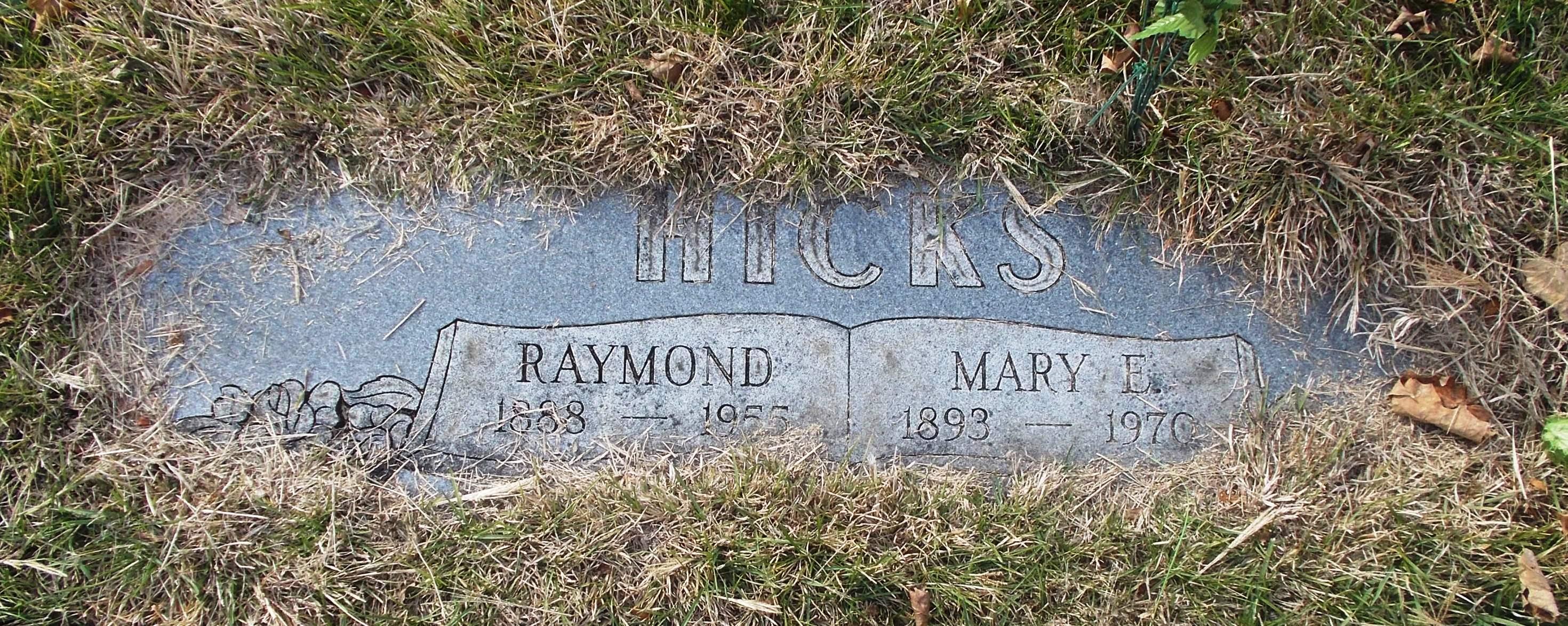 Mary E Hicks