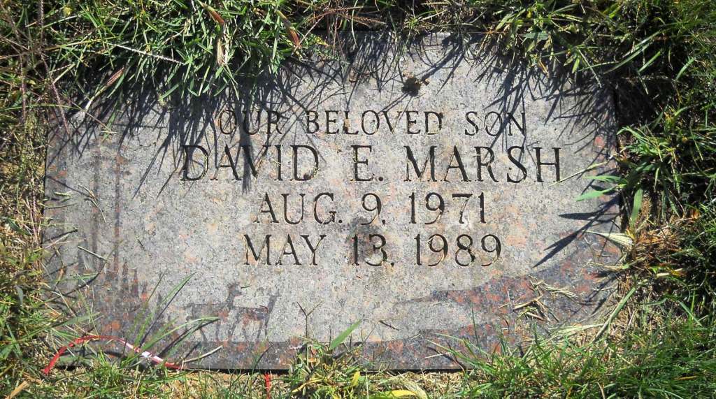 David E Marsh