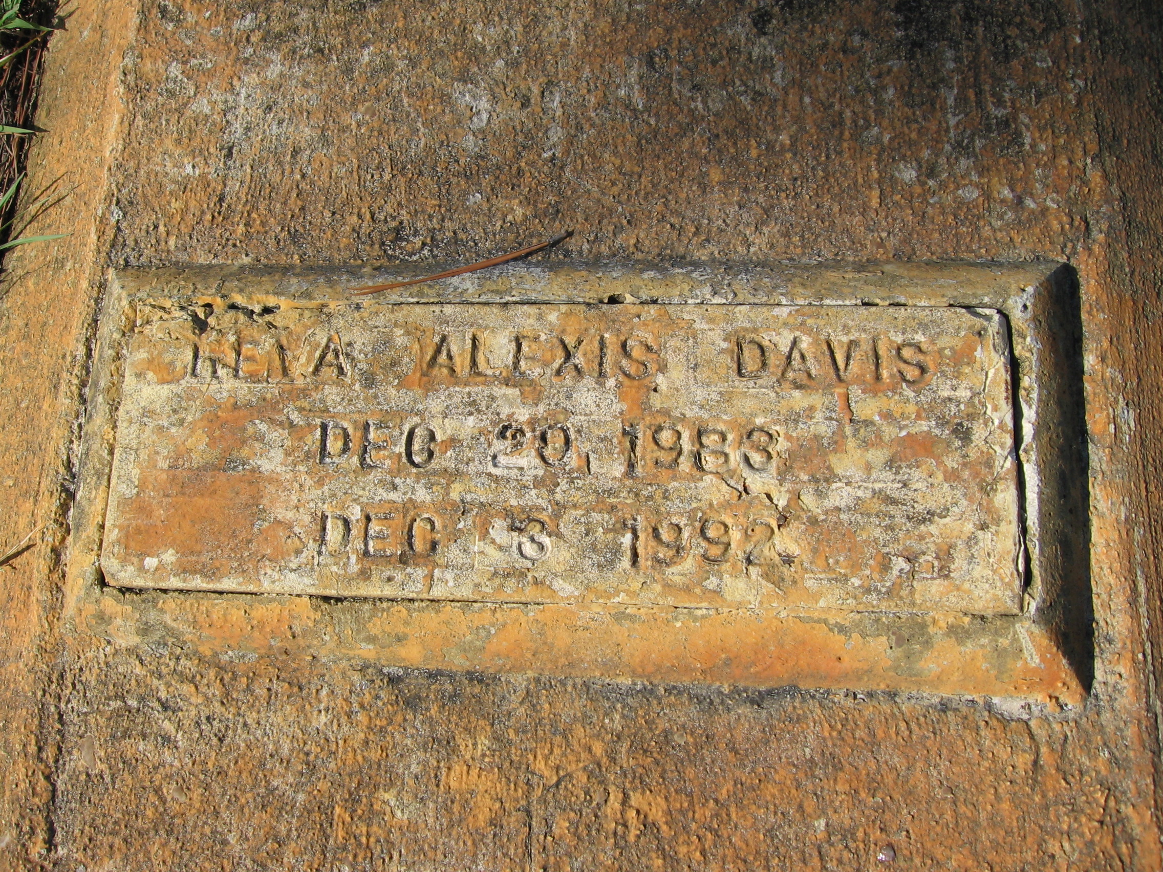 Reva Alexis Davis