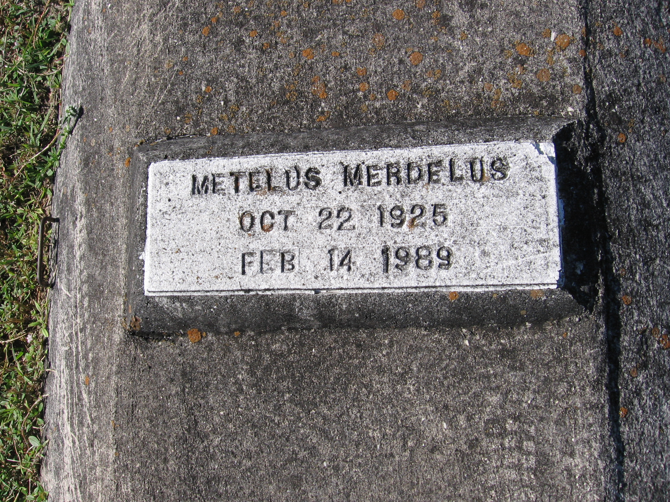 Metelus Merdelus
