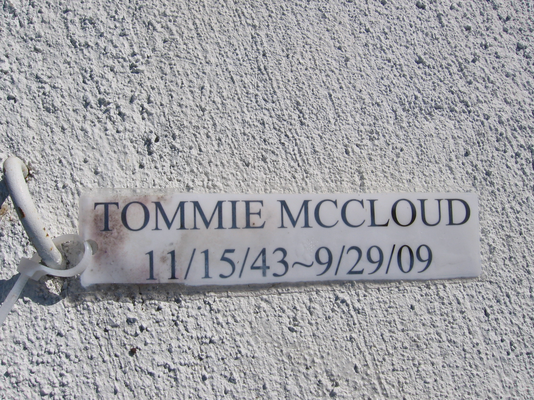 Tommie Mccloud