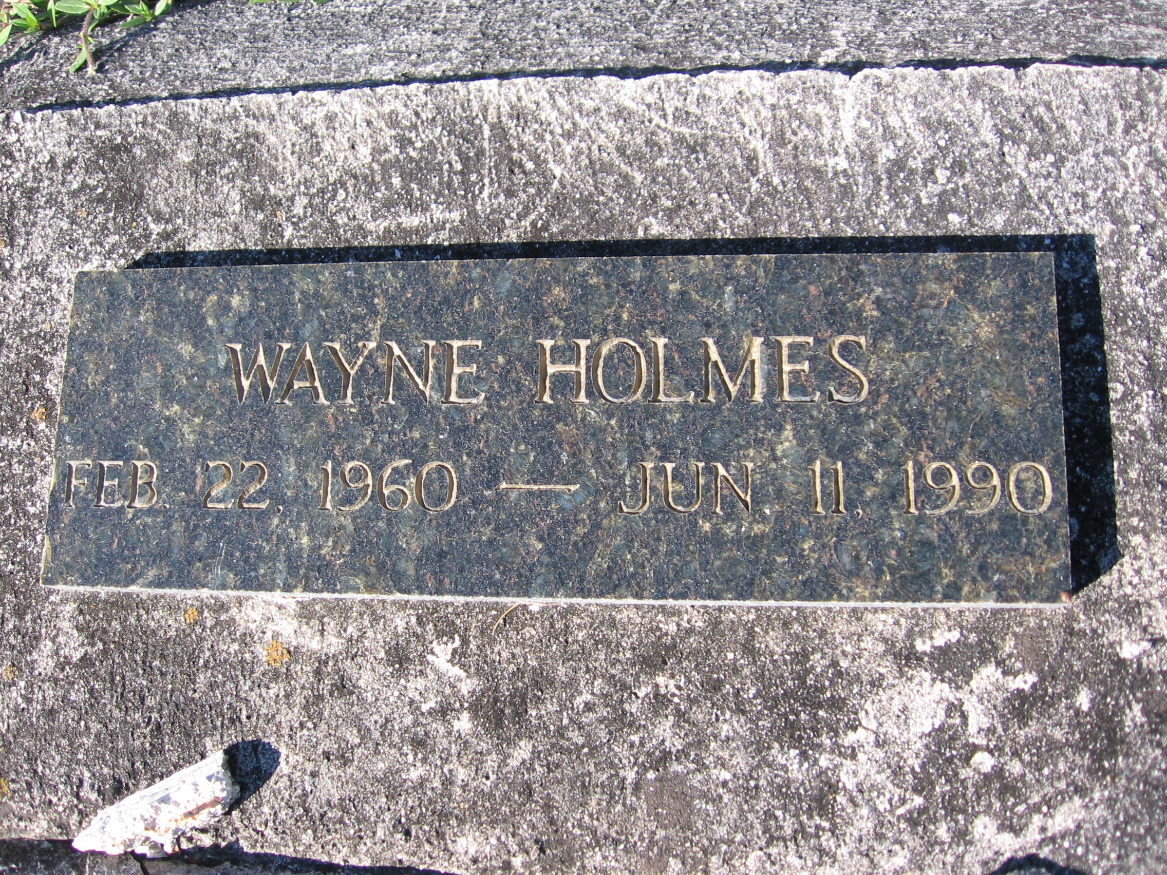 Wayne Holmes