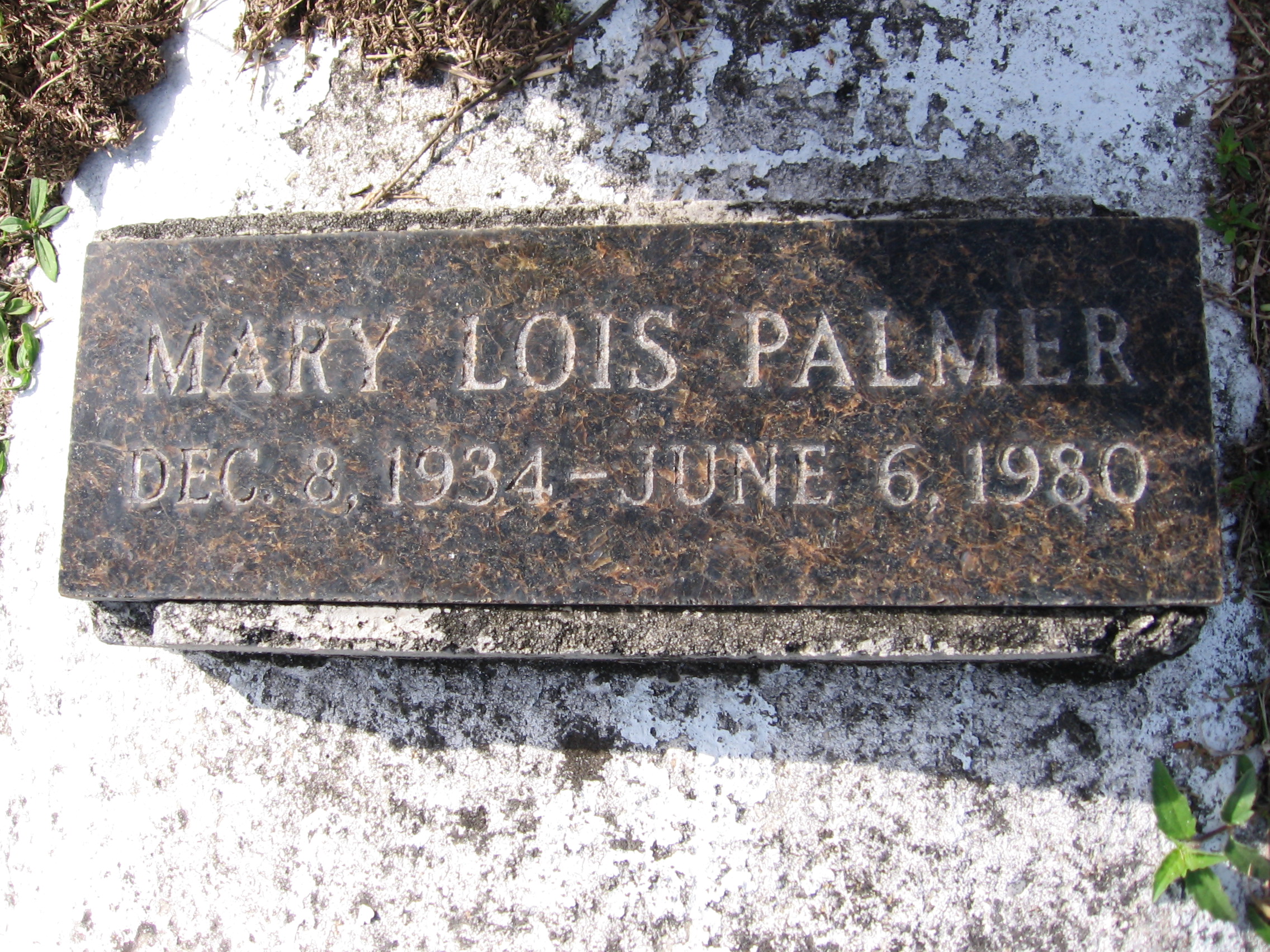 Mary Lois Palmer