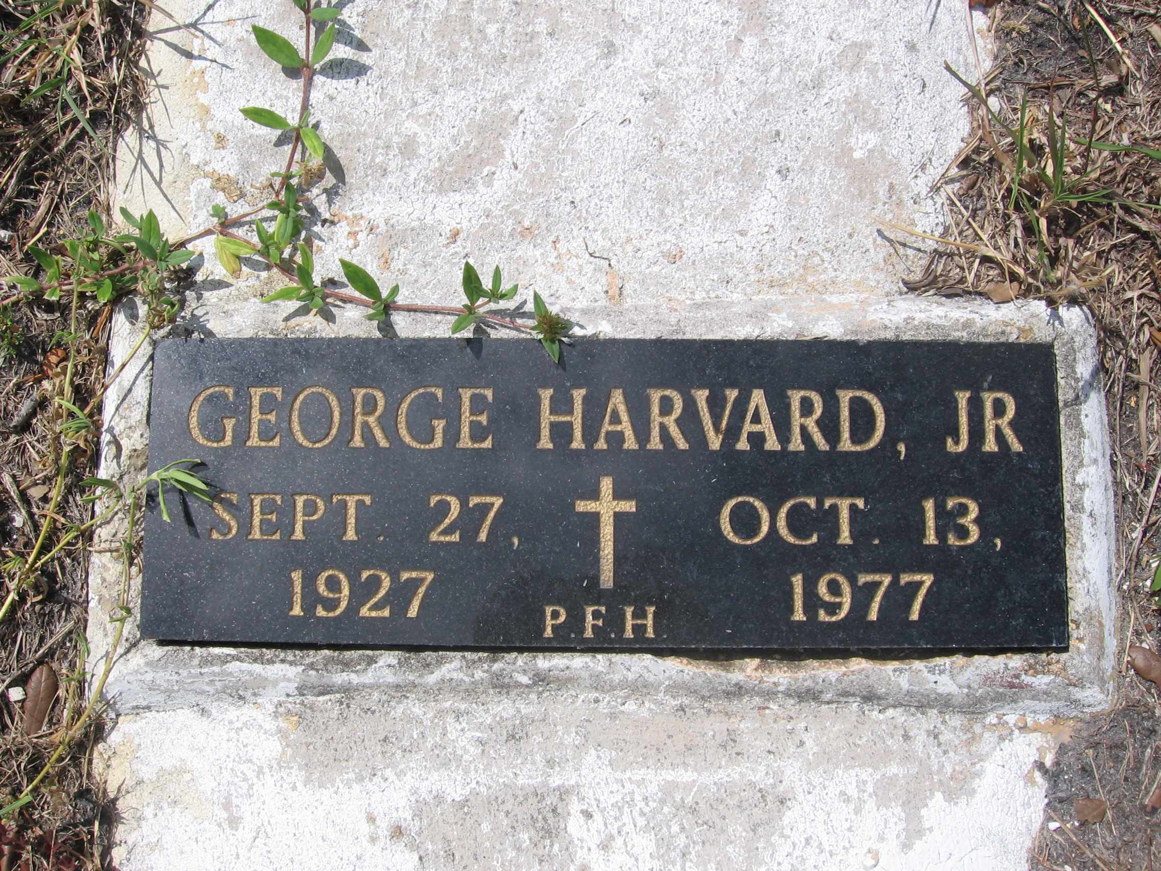 George Harvard, Jr