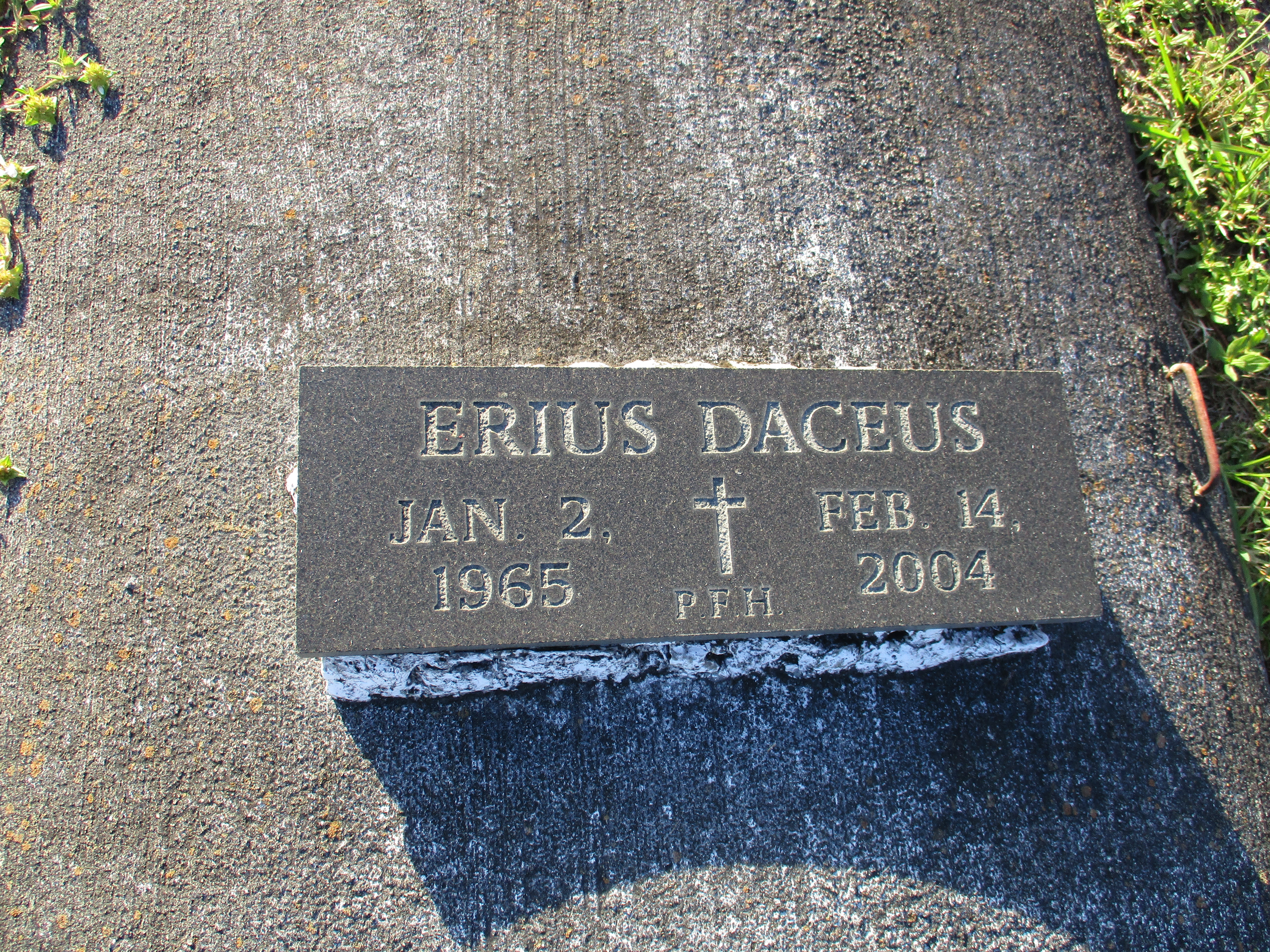 Erius Daceus