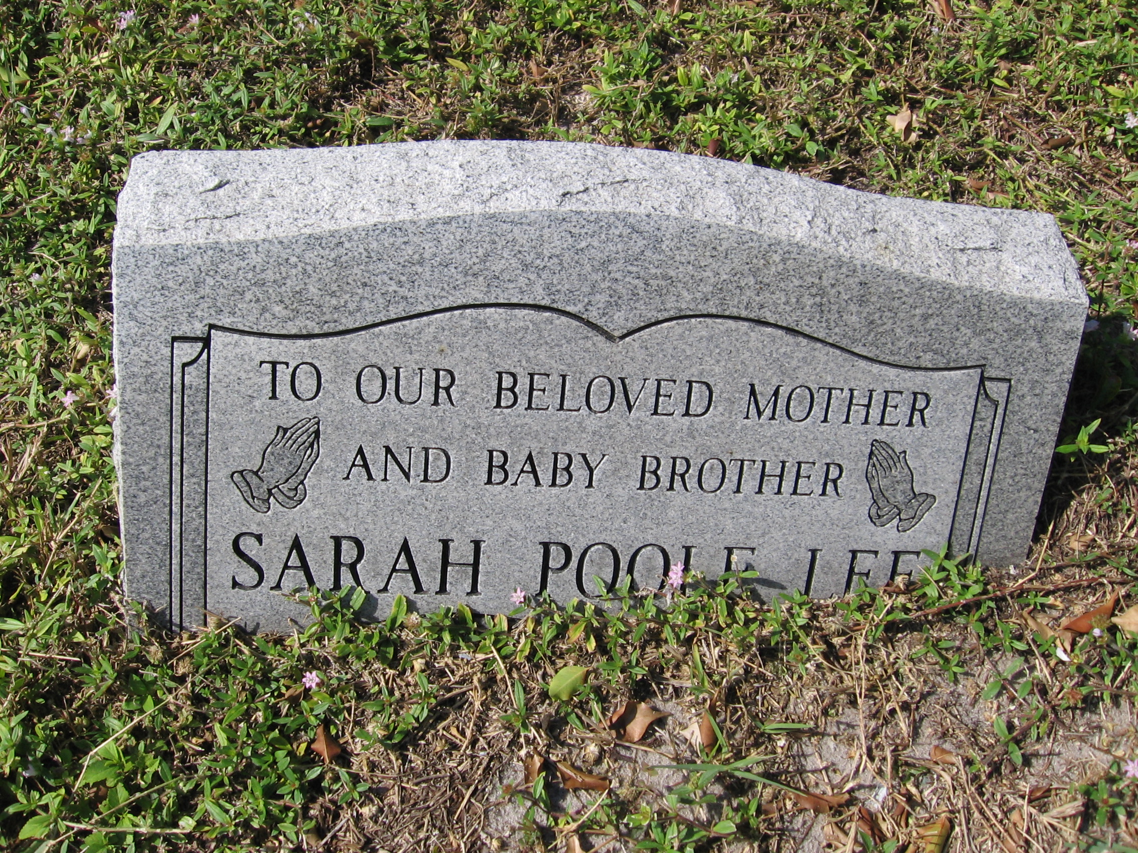 Sarah Poole Lee