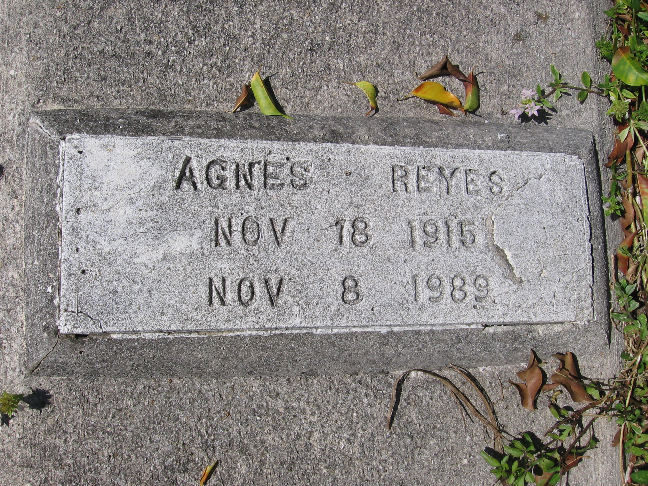 Agnes Reyes