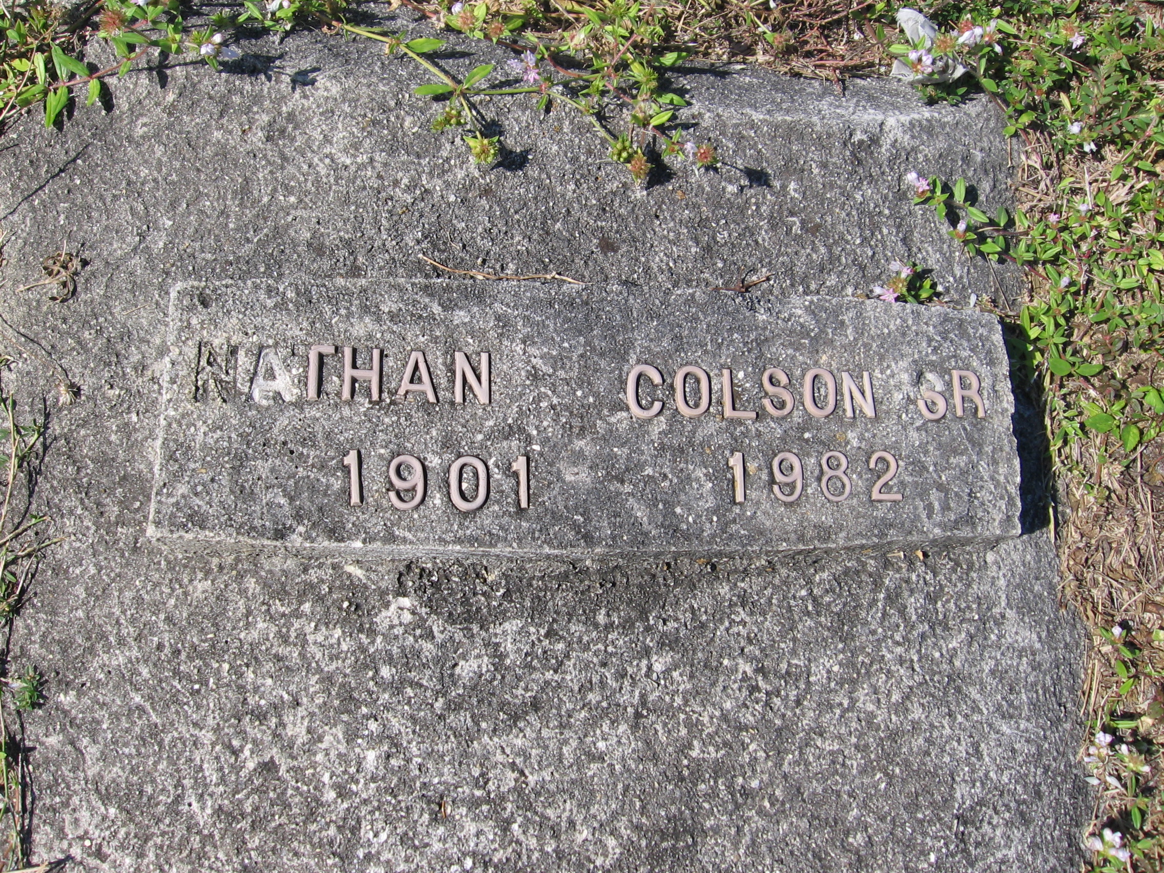 Nathan Colson, Sr