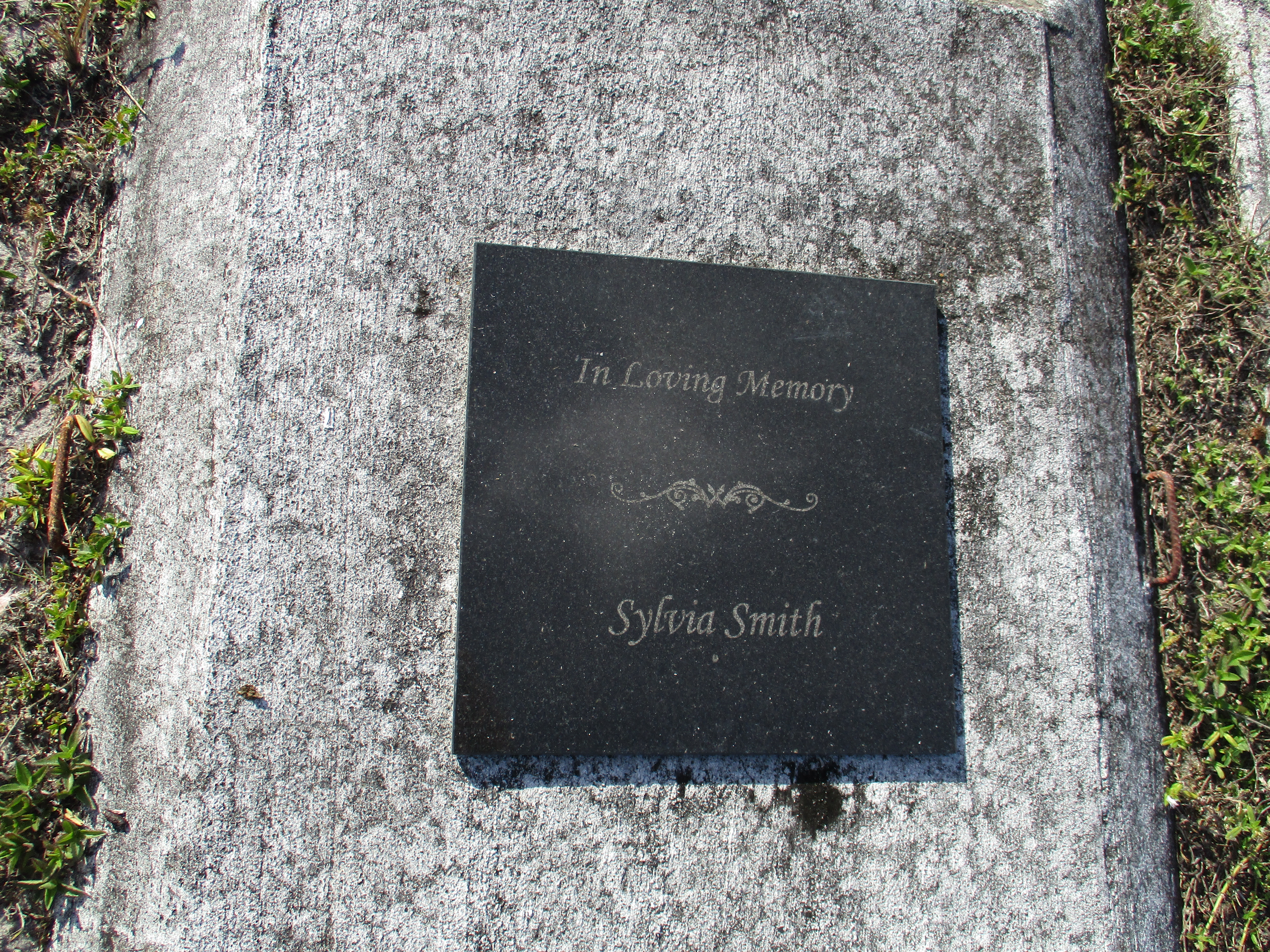 Sylvia Smith
