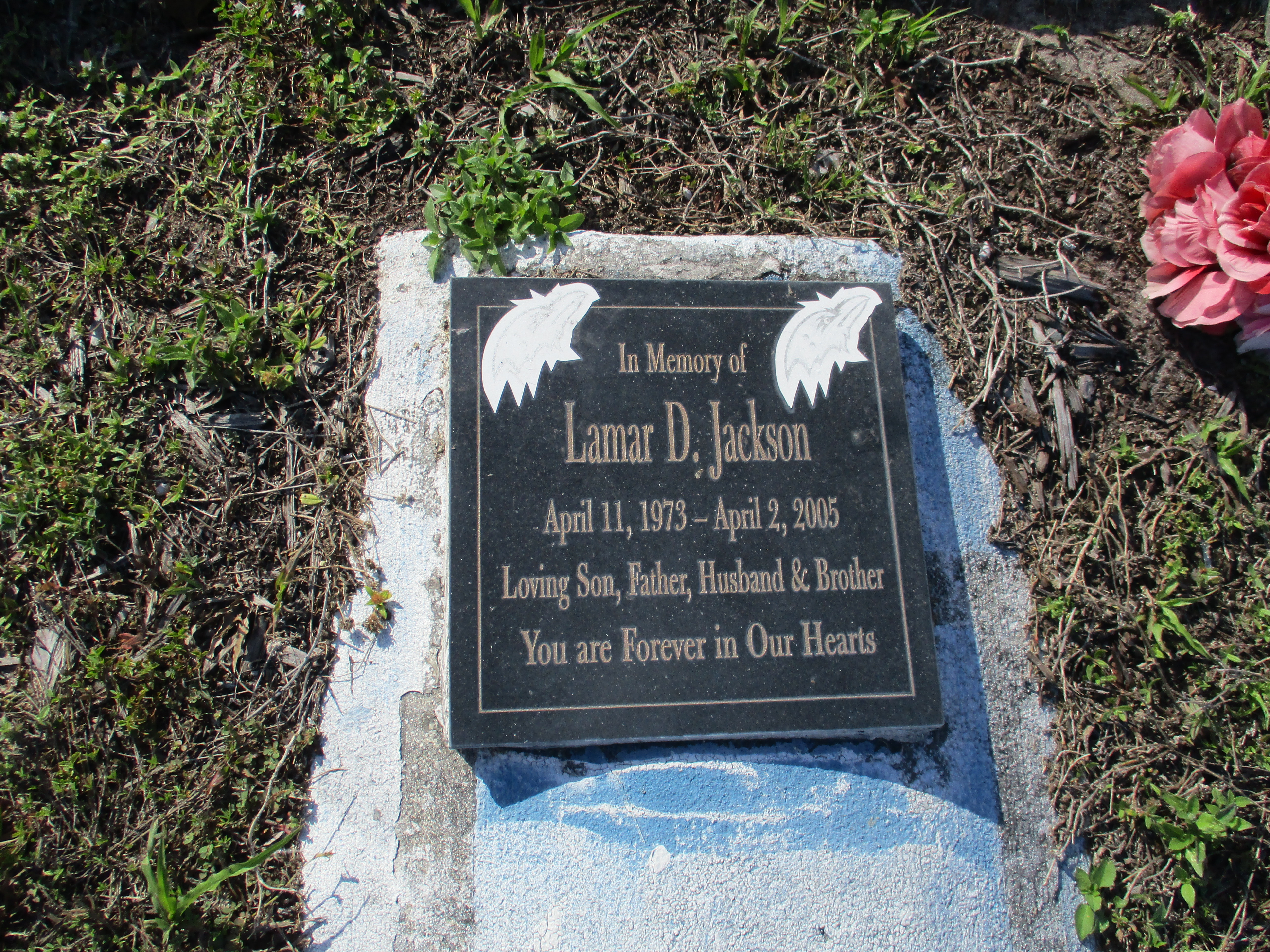Lamar D Jackson