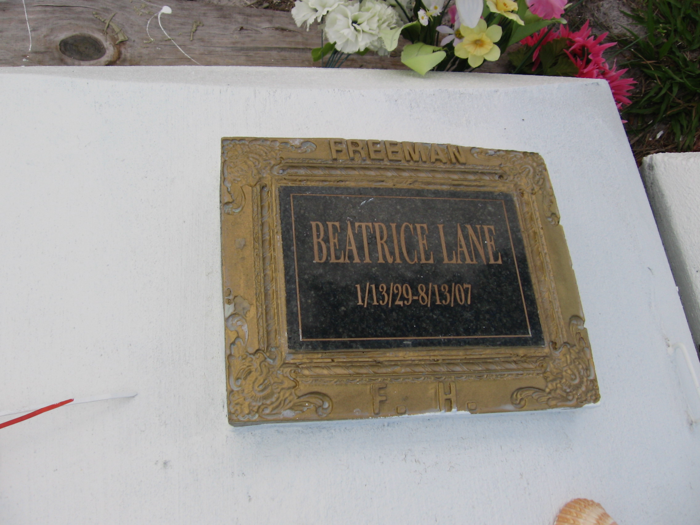 Beatrice Lane