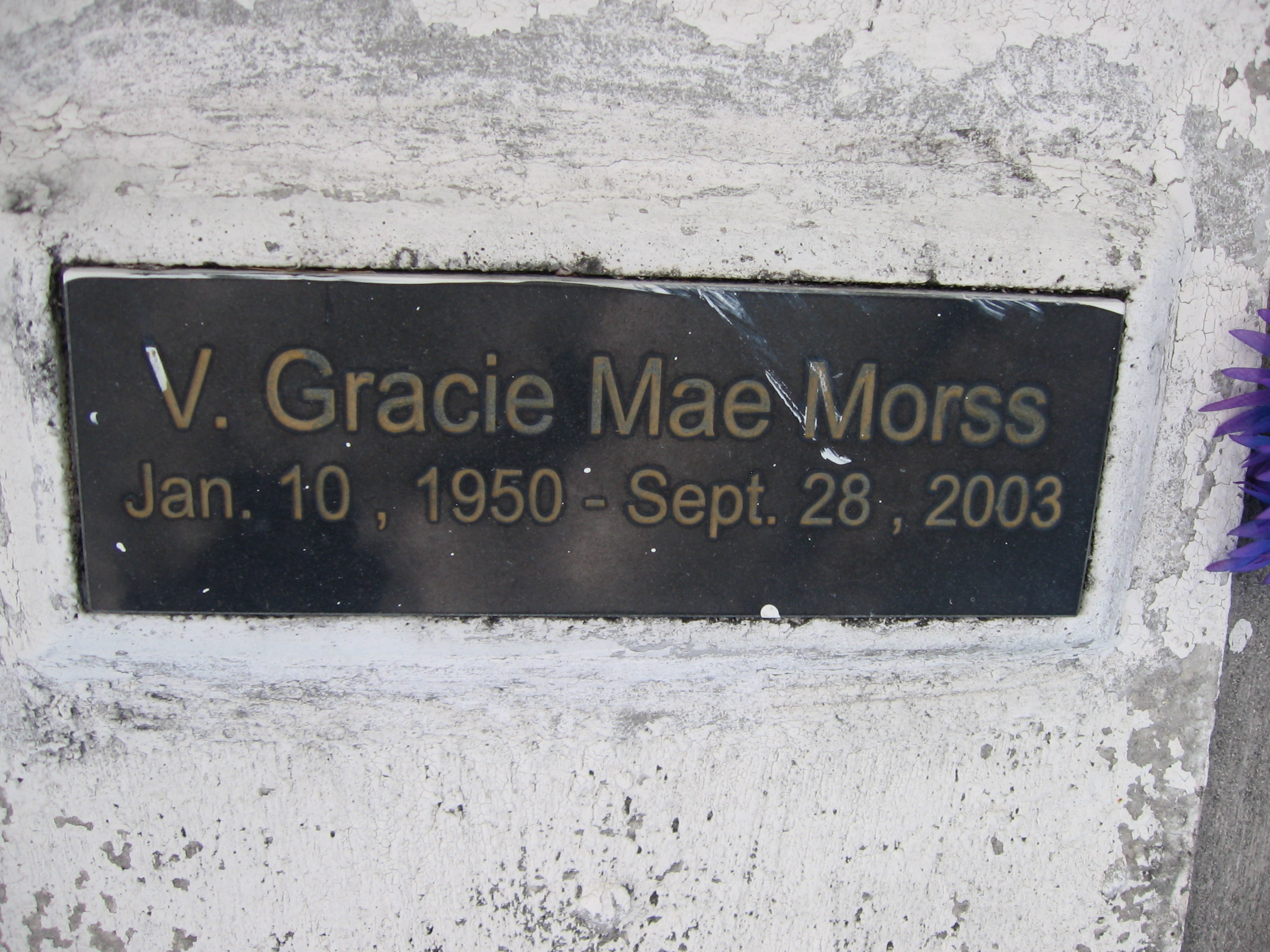 V Gracie Mae Morss