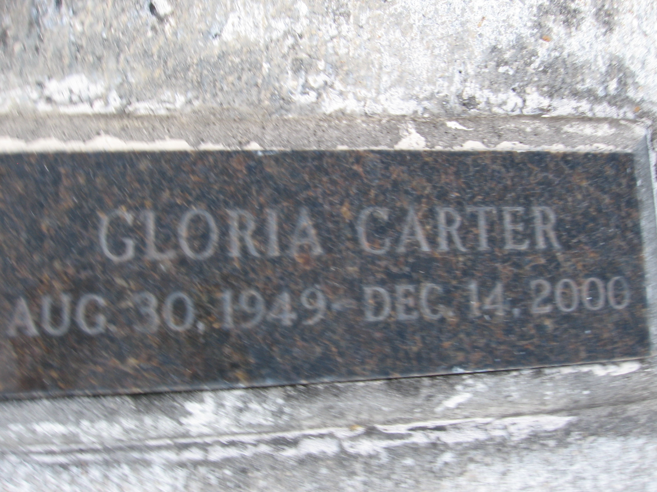 Gloria Carter