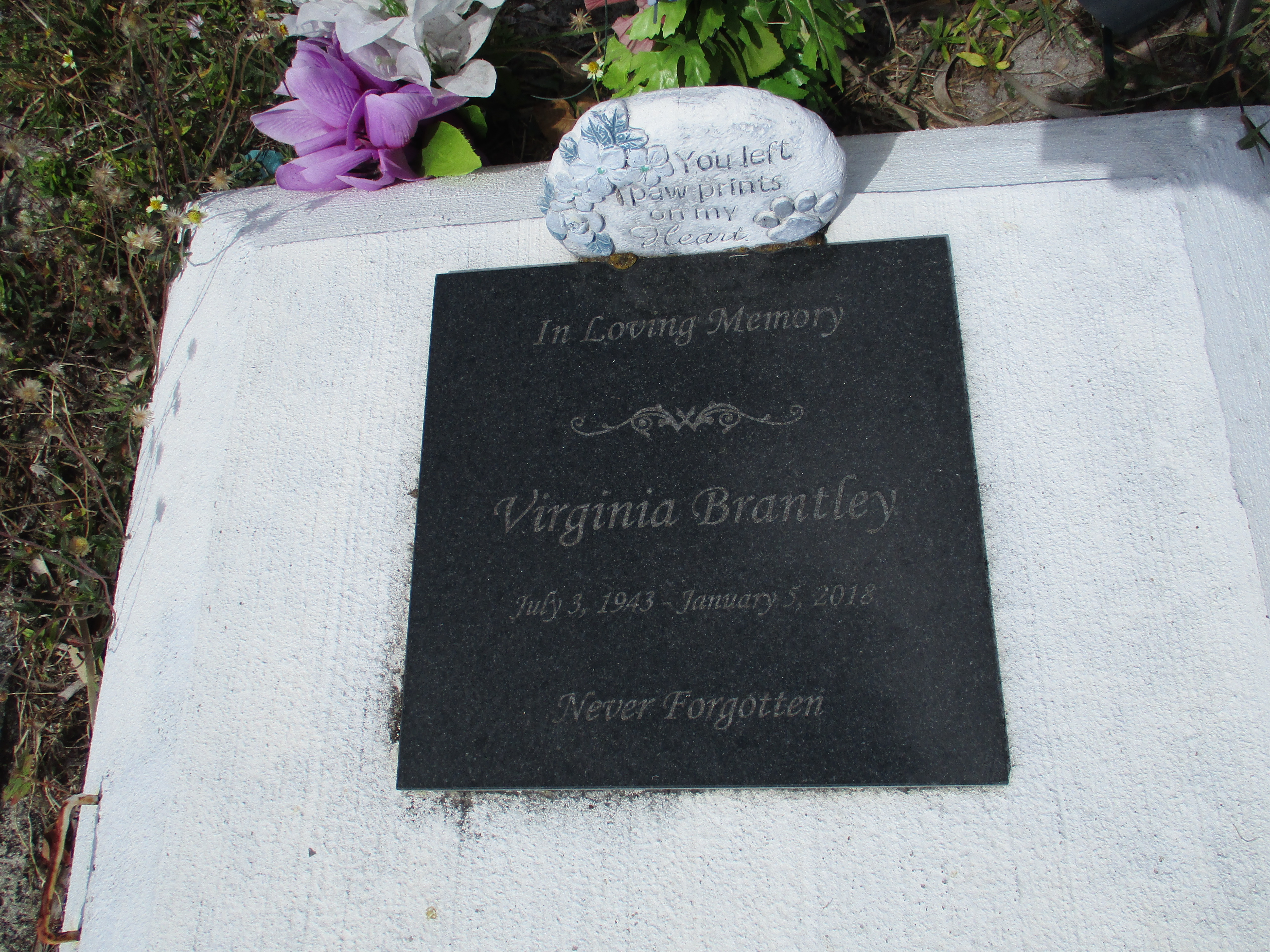 Virginia Brantley