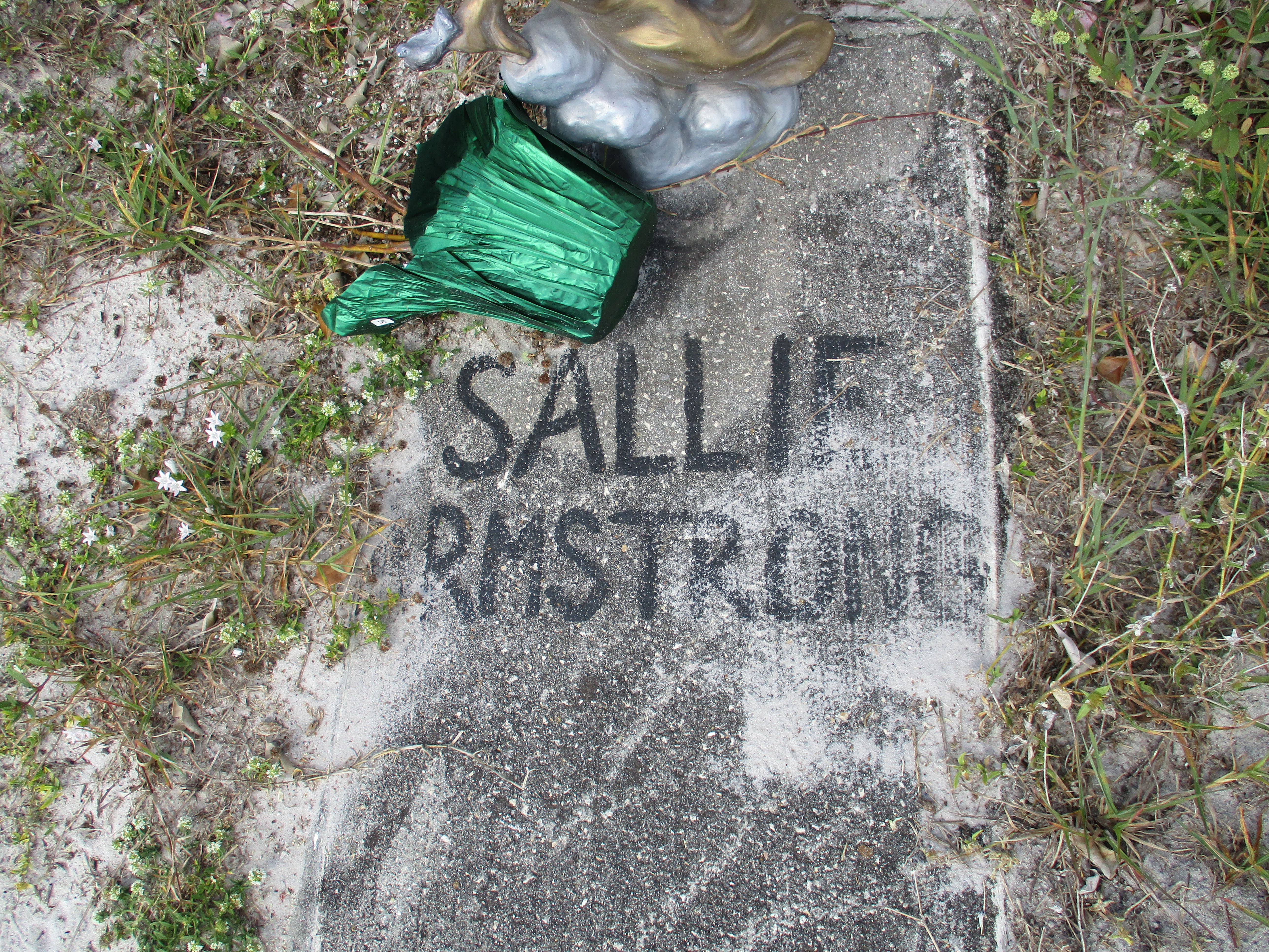 Sallie Armstrong