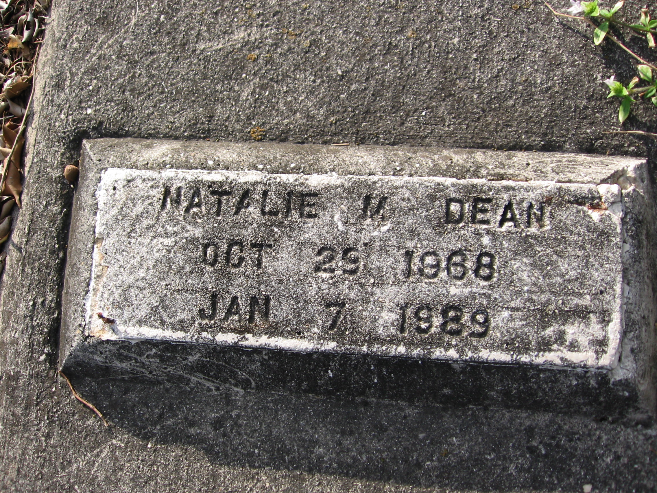 Natalie M Dean