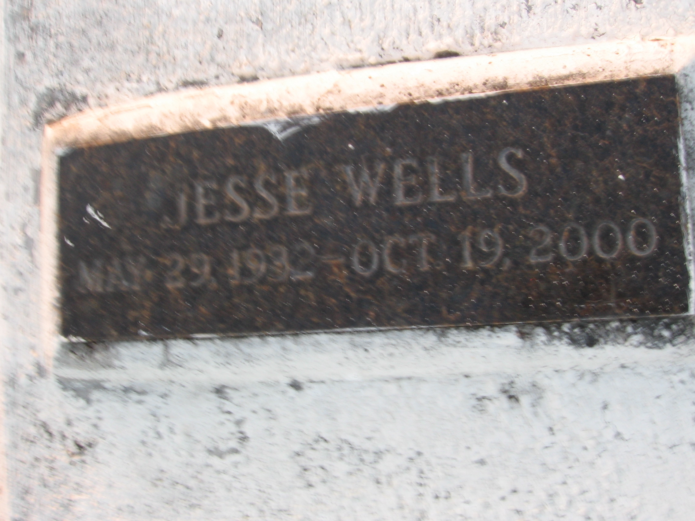 Jesse C Wells