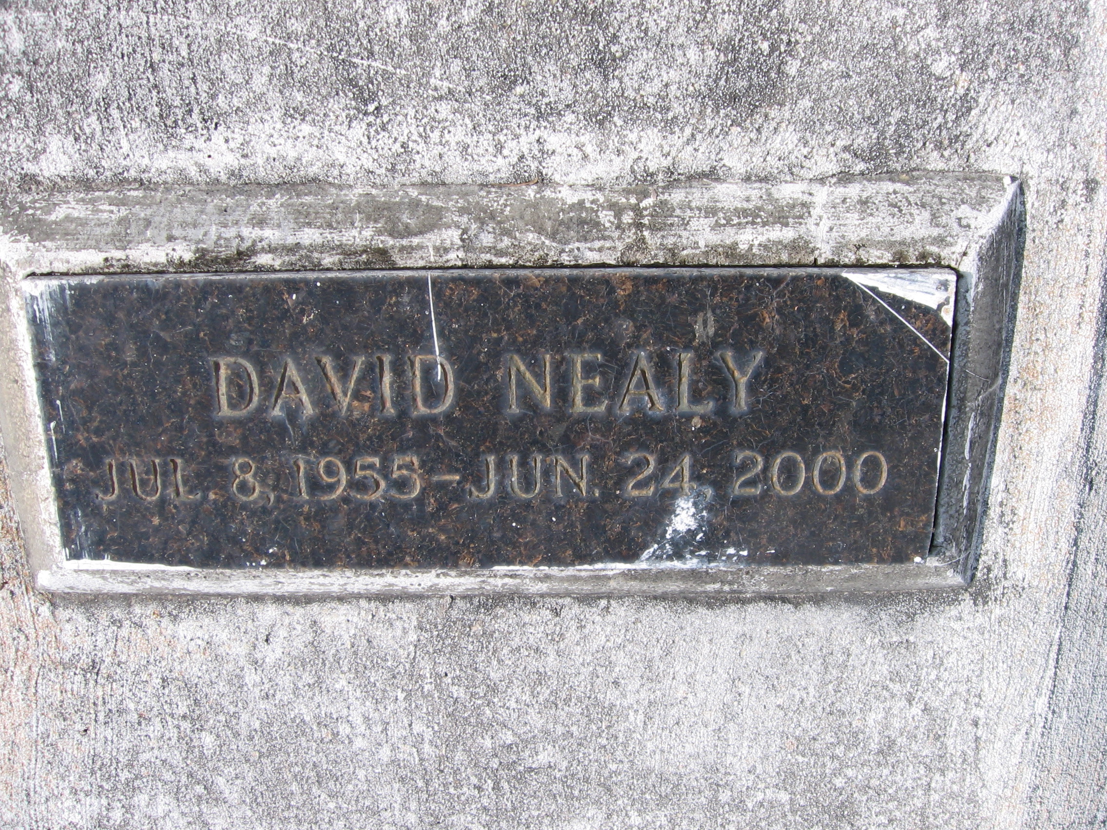 David Nealy