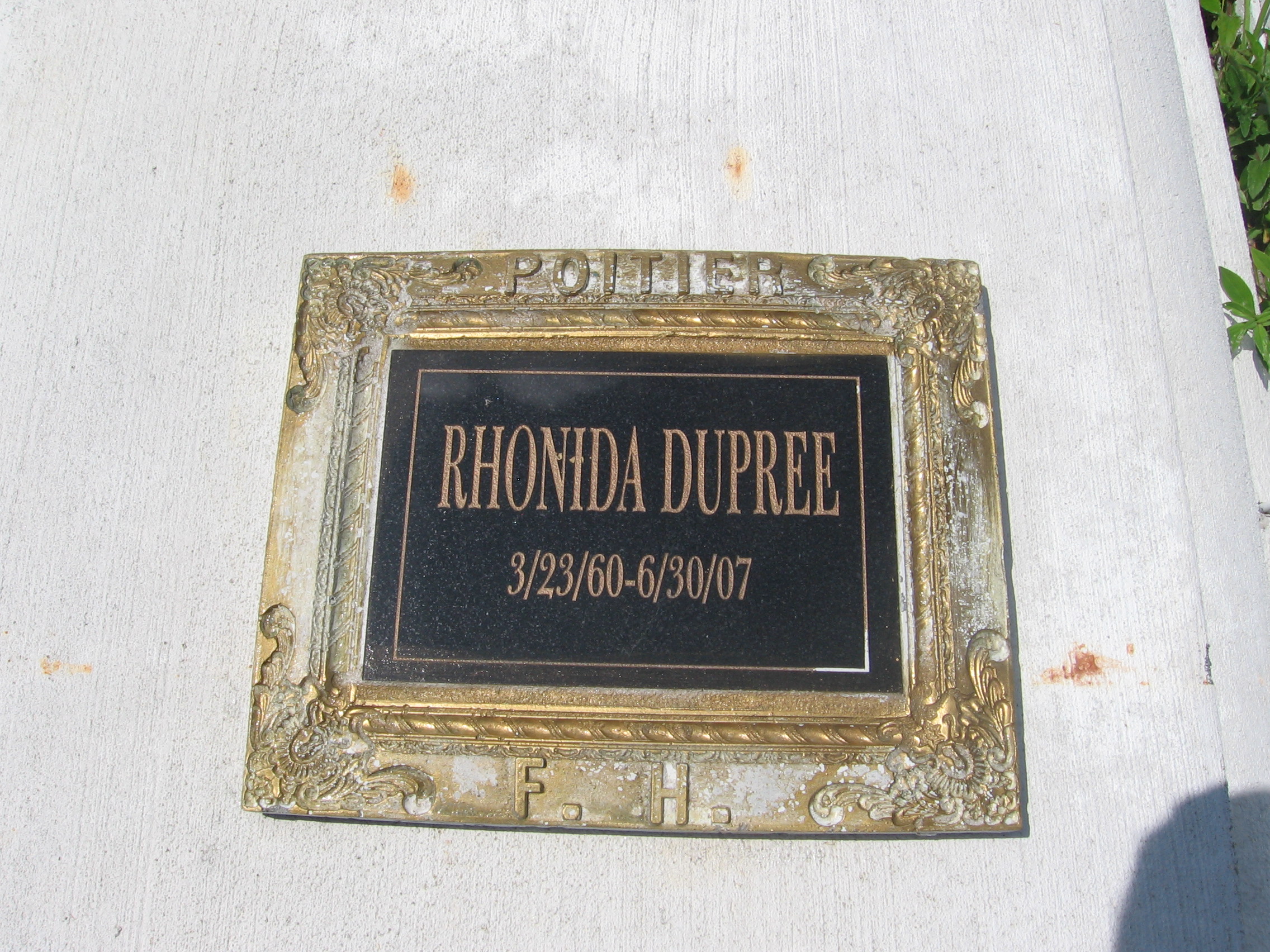 Rhonda M Dupree