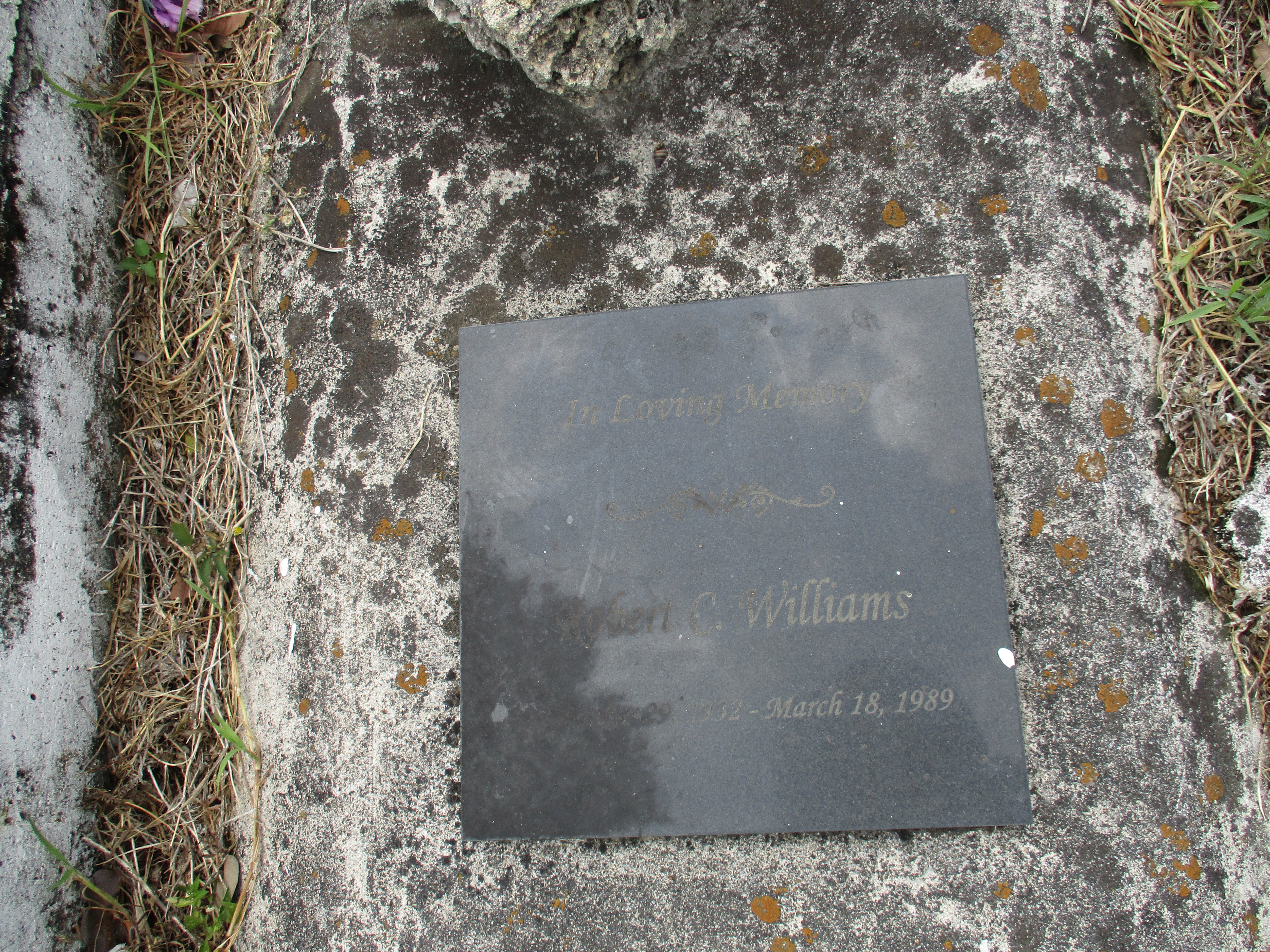 Robert C Williams